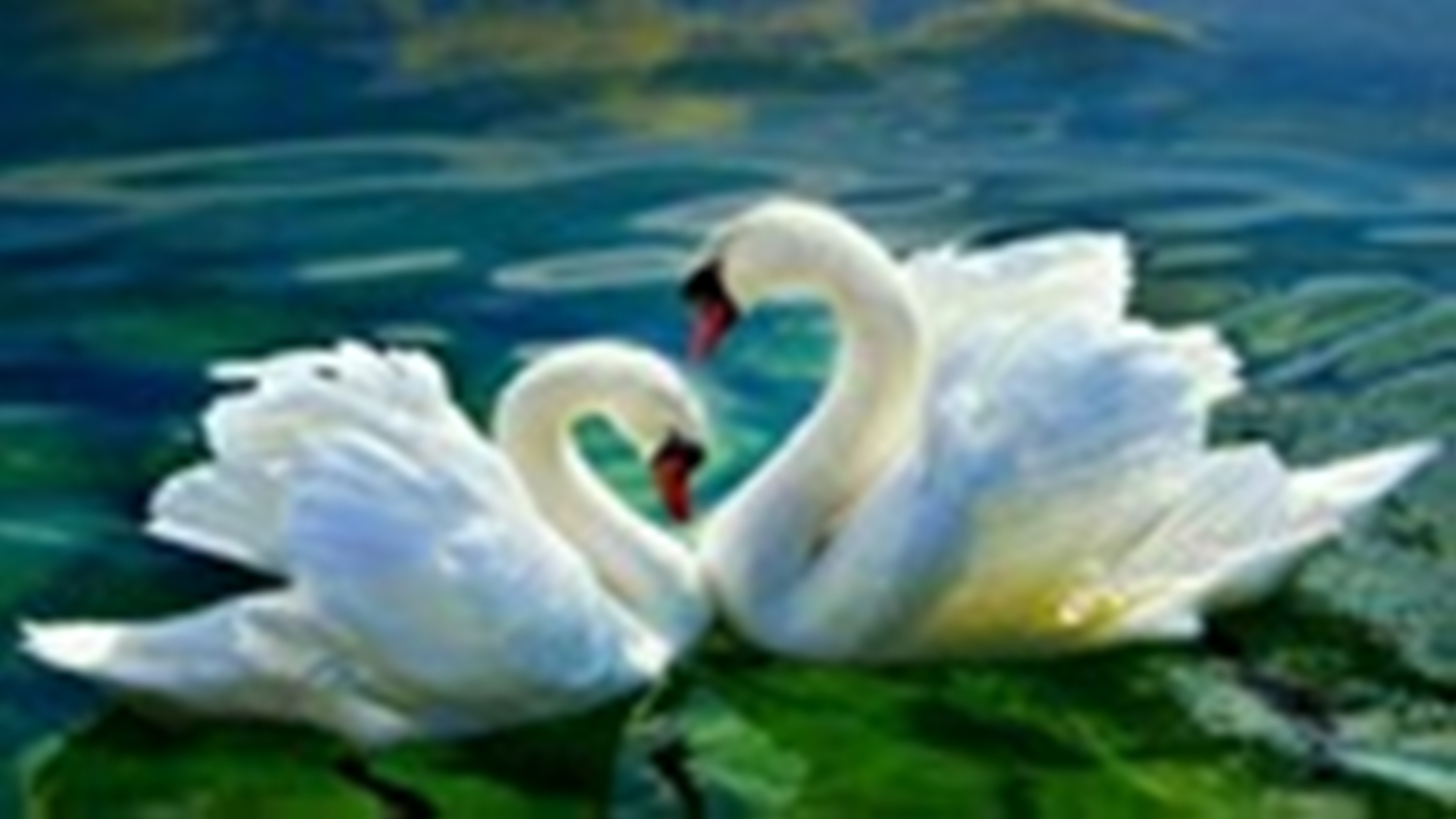 يوميات ام ساندي