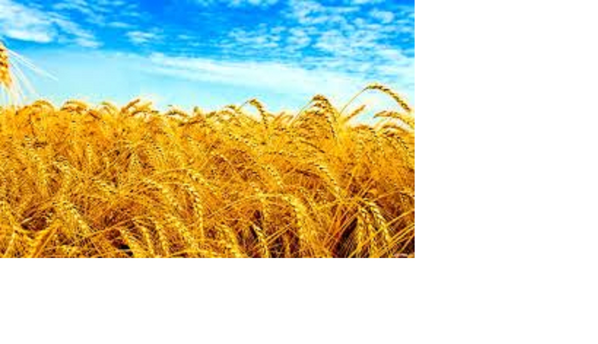 Евгений Илюшин