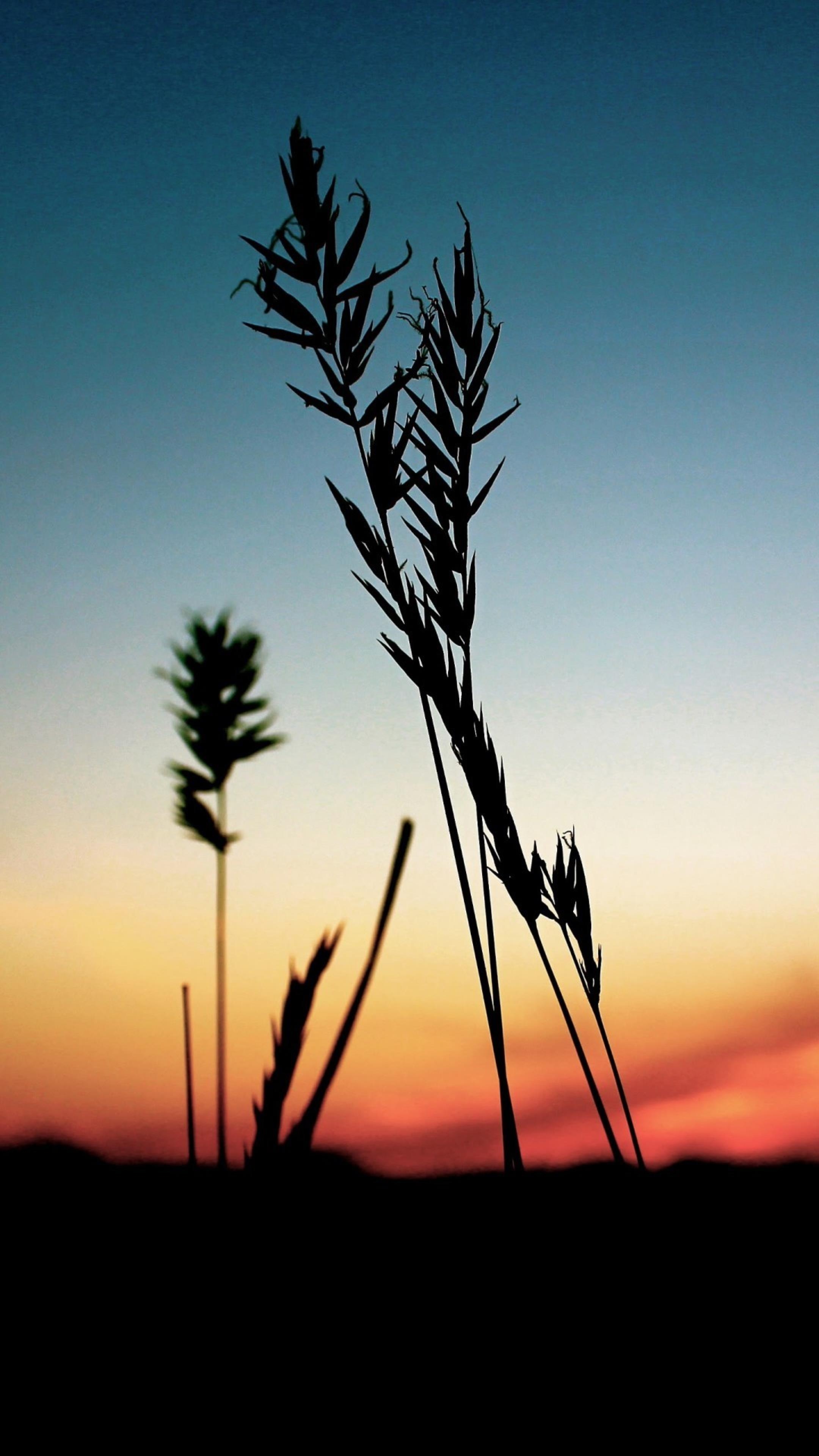 انشر تؤجر / الفجر الجديد