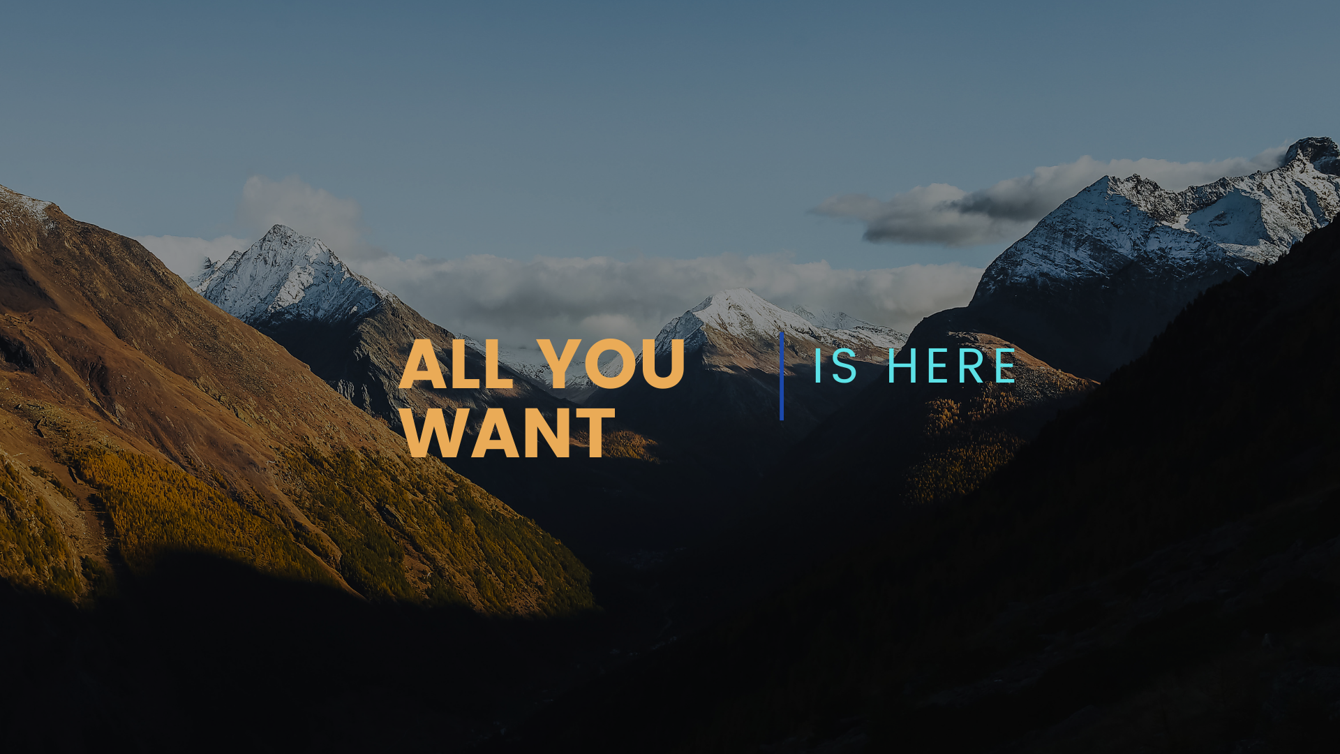 NEW CONTENT / PRANK/ DOG/CAT /STYLE