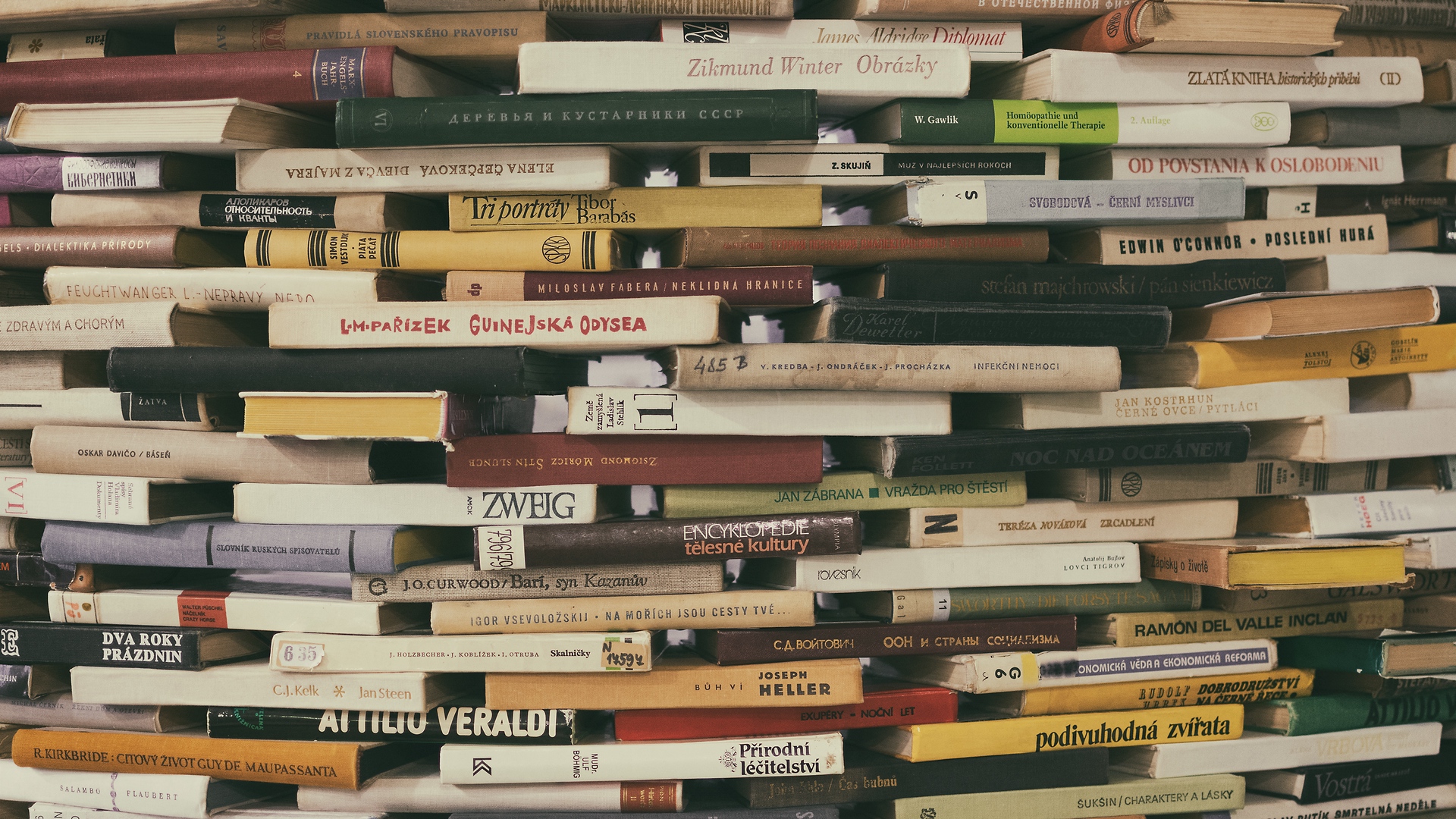 dm_219c5f8fce9ea2e9c36243c06232cc67