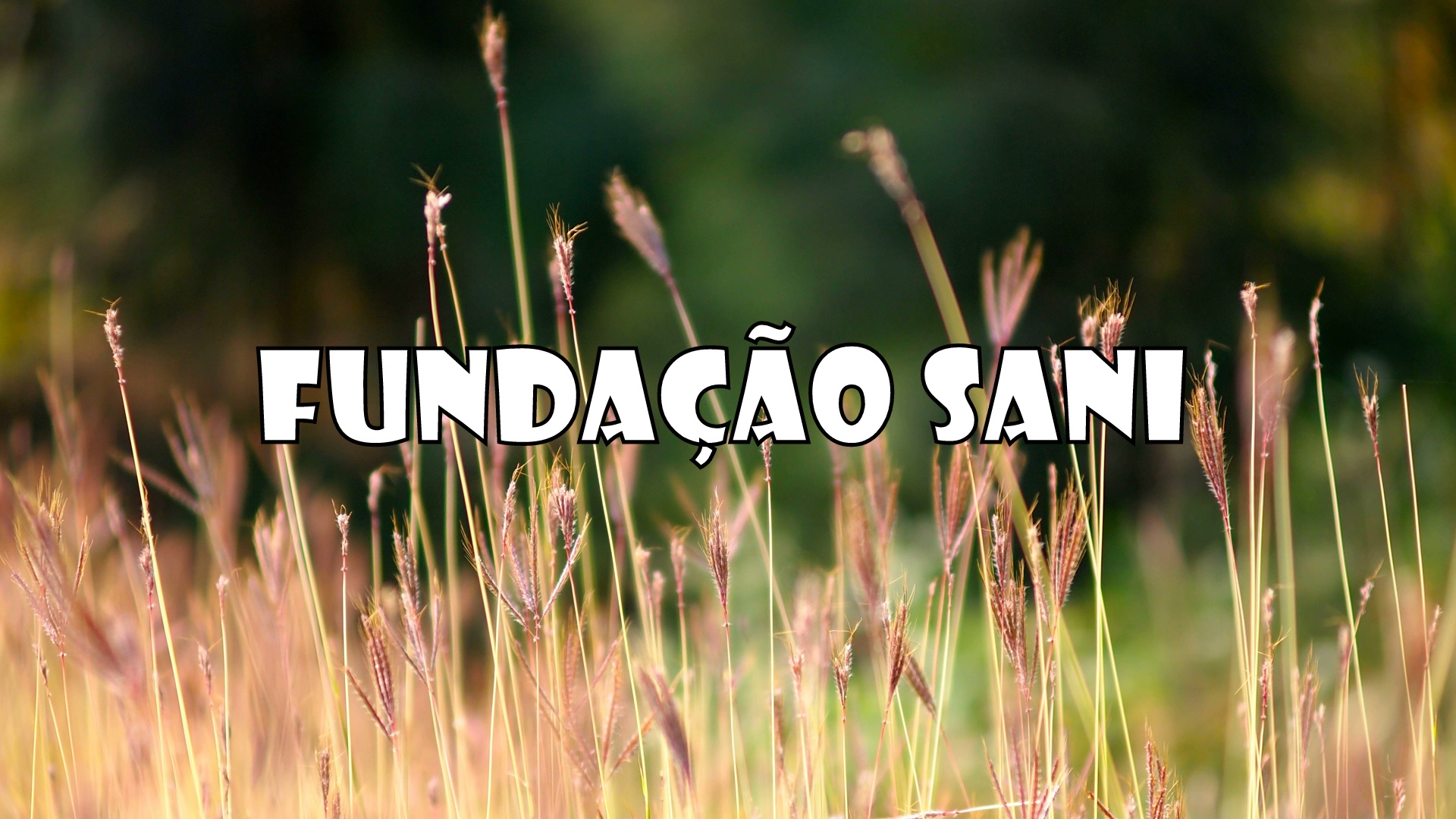 Fundação Sani