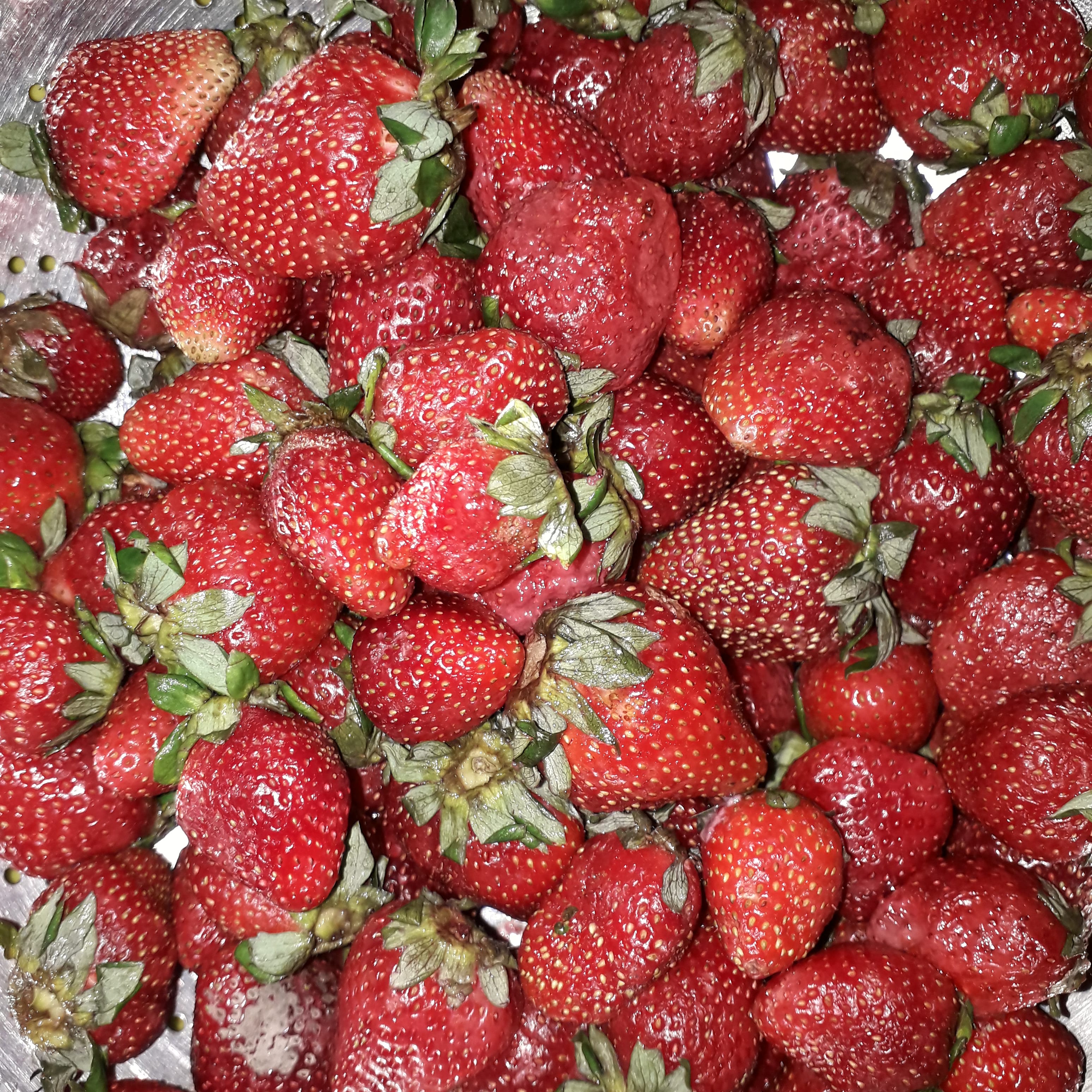 Pakreaction hannanrajput official