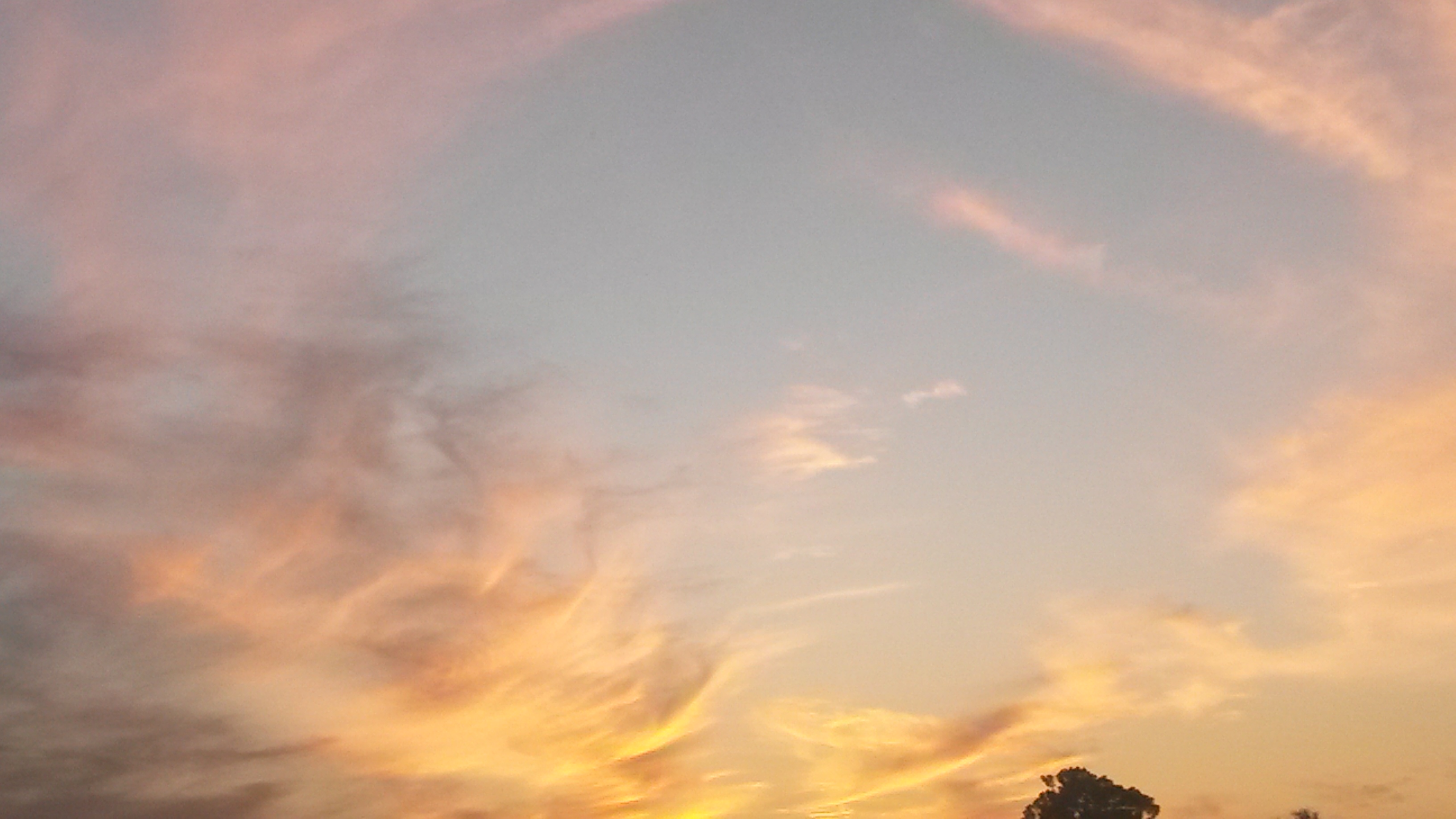 top10 all exclusive 2021