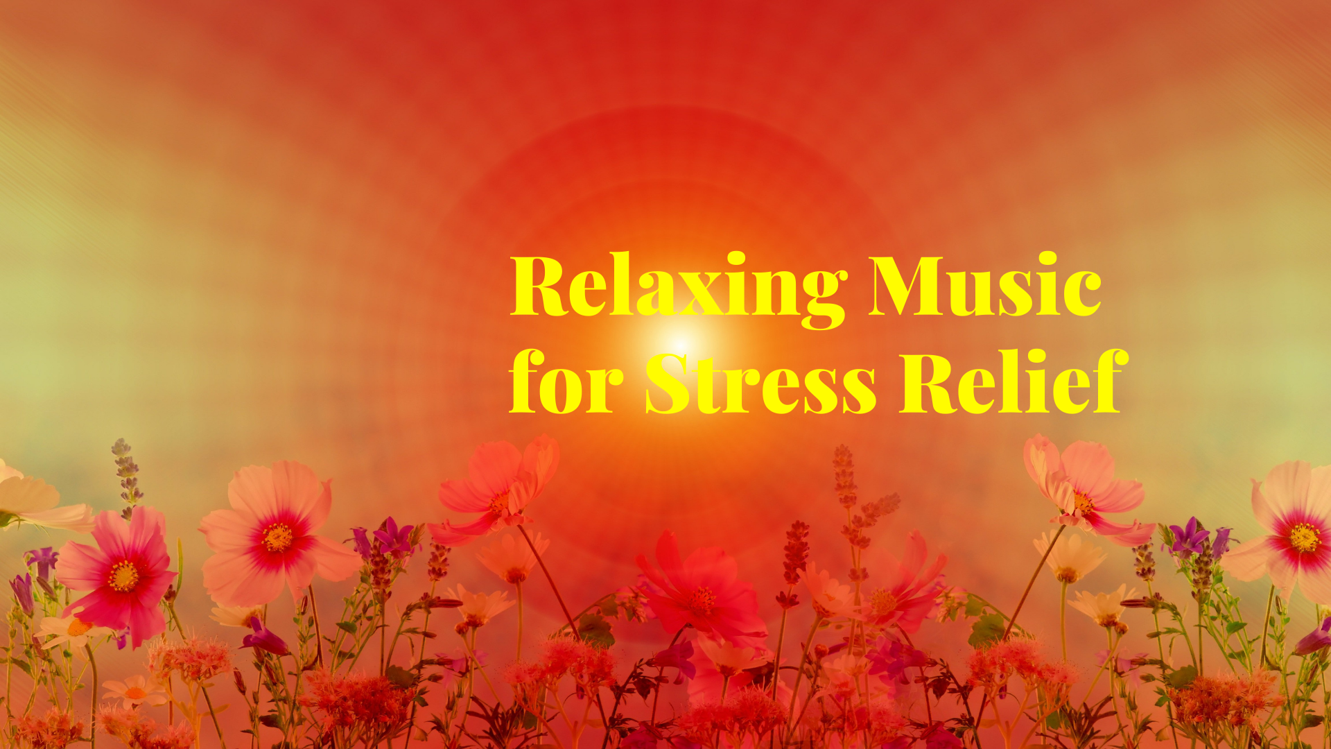 Relaxing Music For Stress Relief