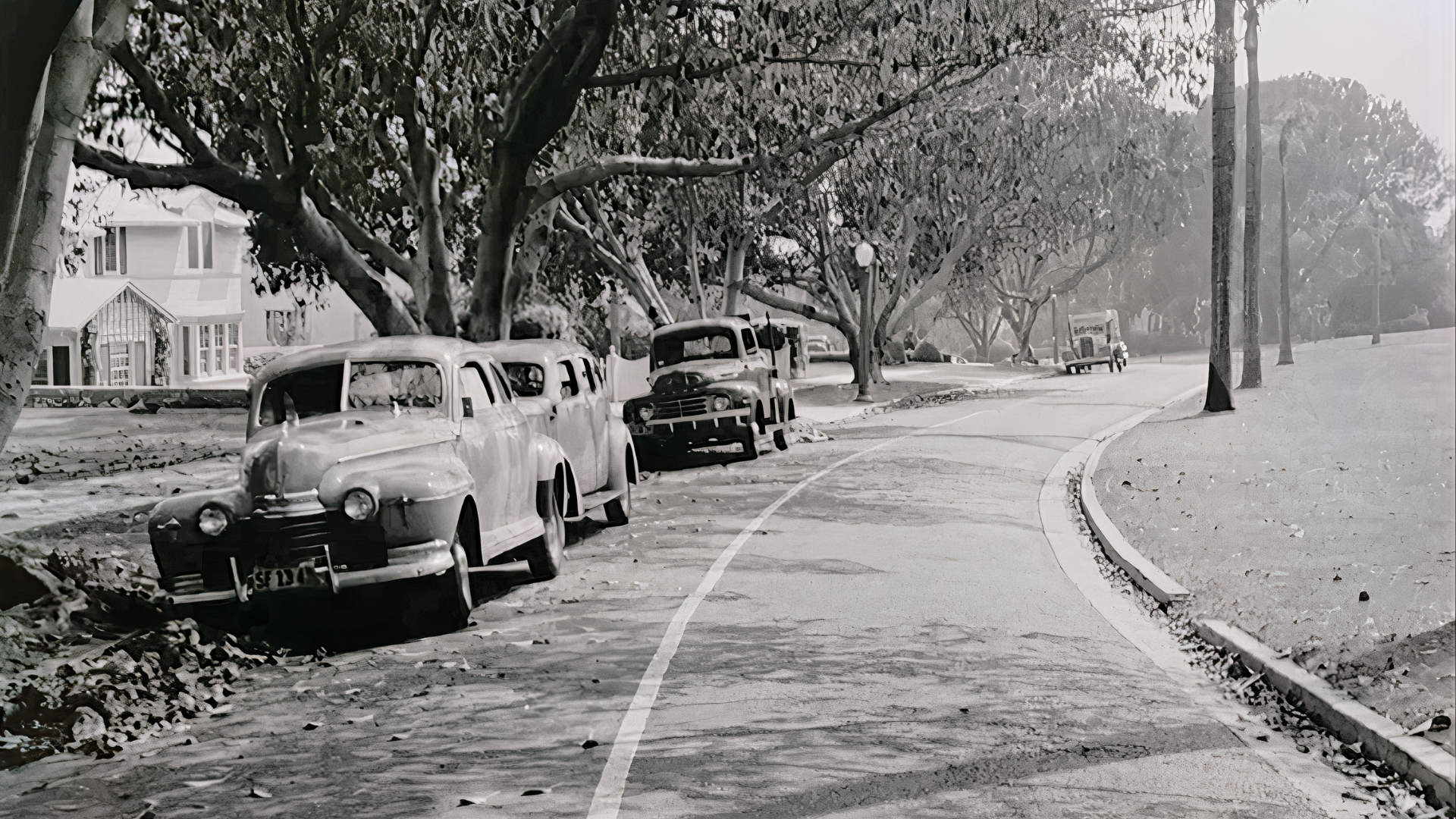 Warehouse of Old Films