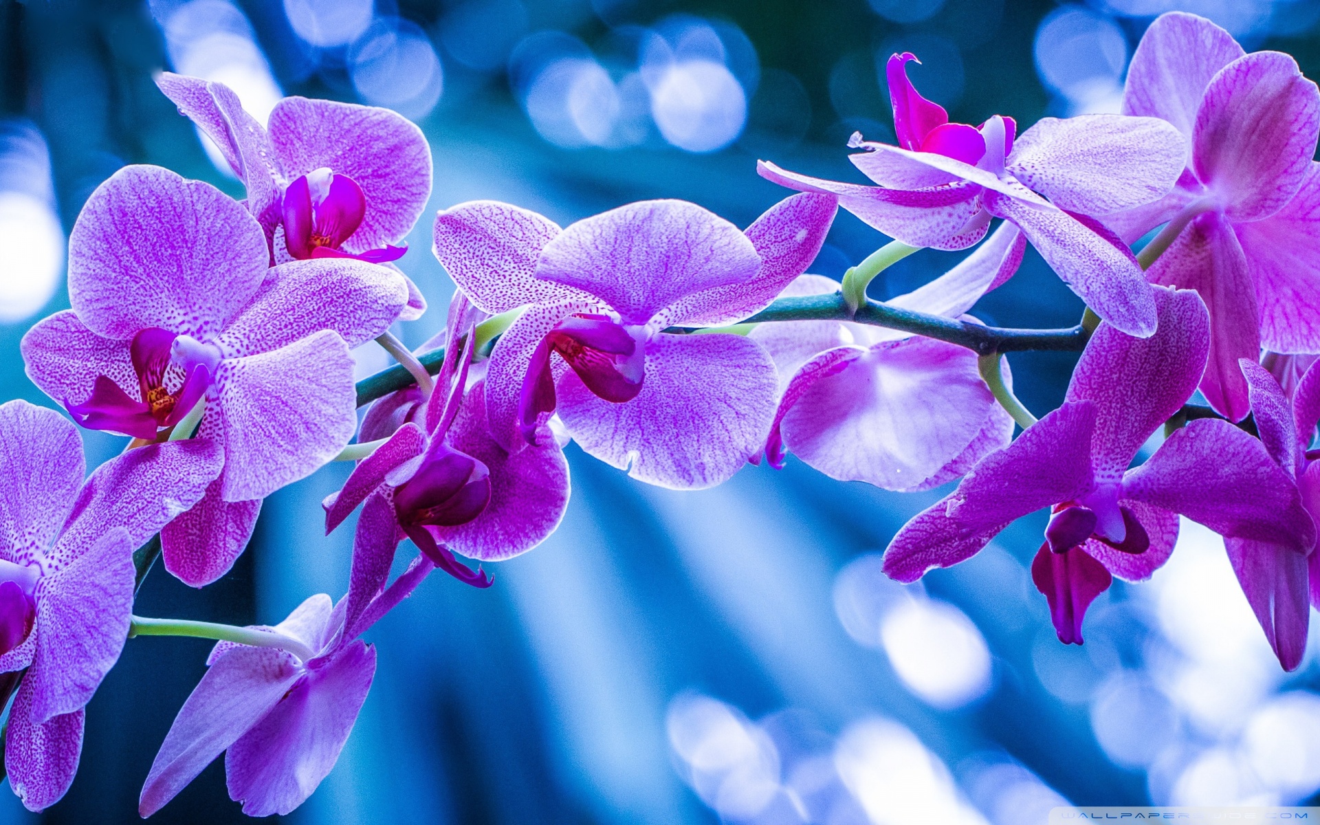 Μην αρχίζεις τη μουρμούρα