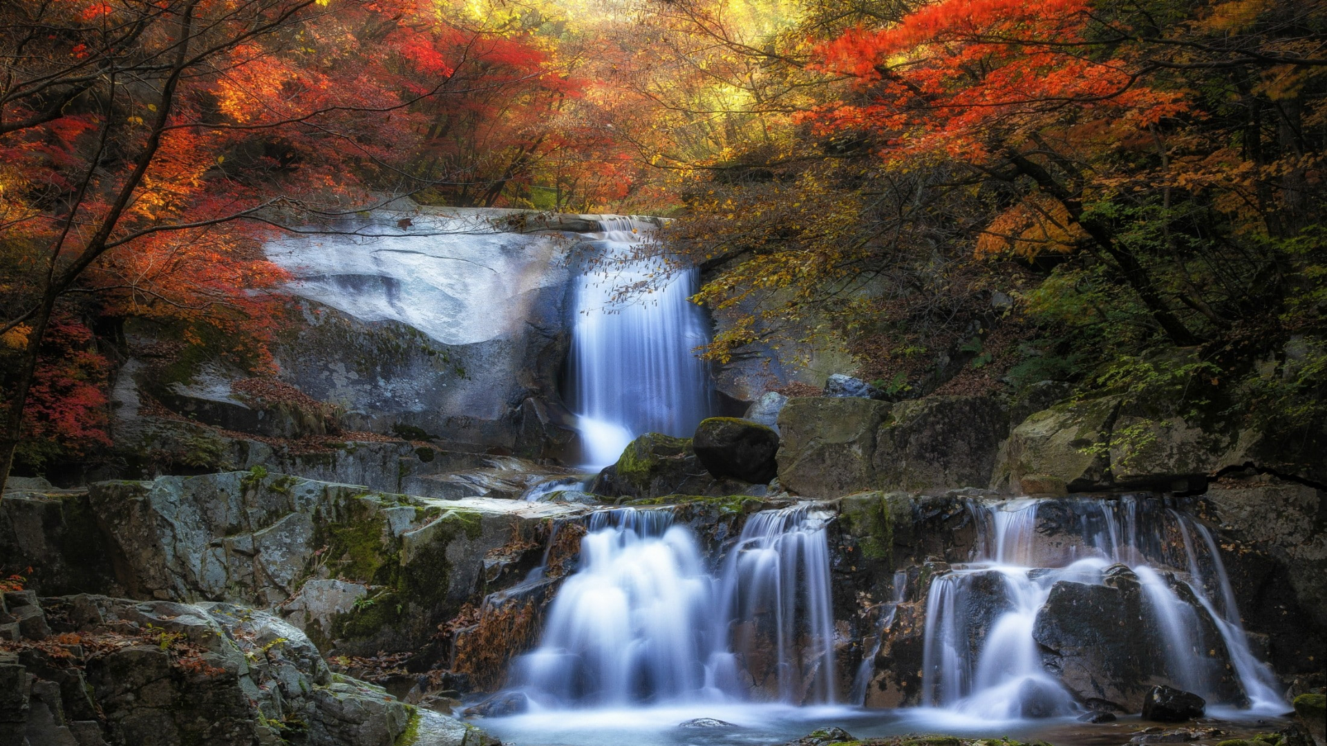 Scenic Relaxation IE