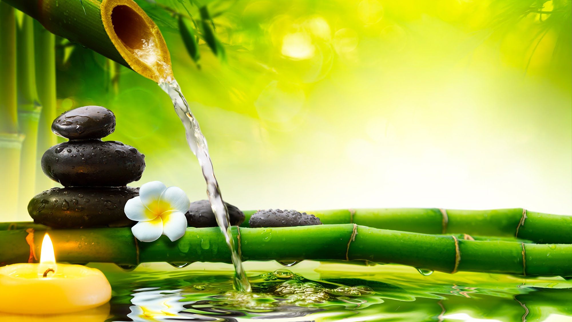 Sonidos De La Naturaleza