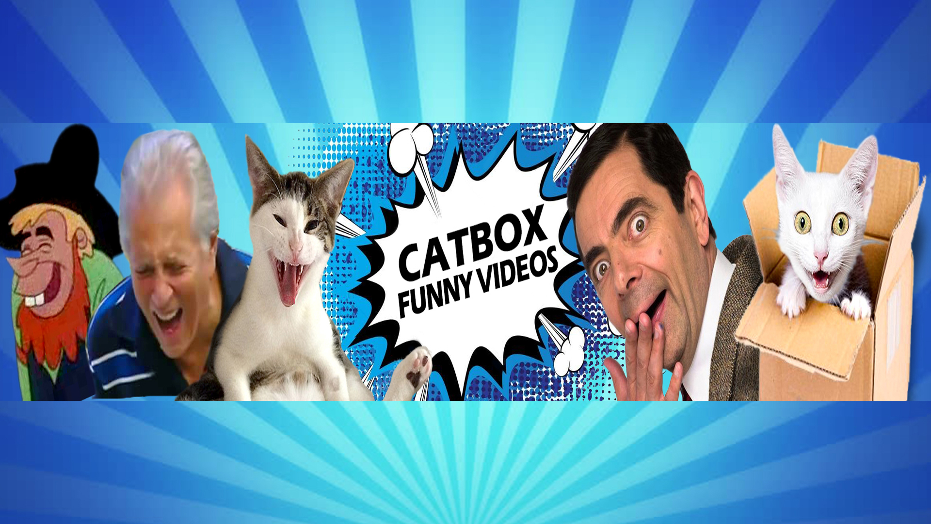 CATBOX Funny Videos