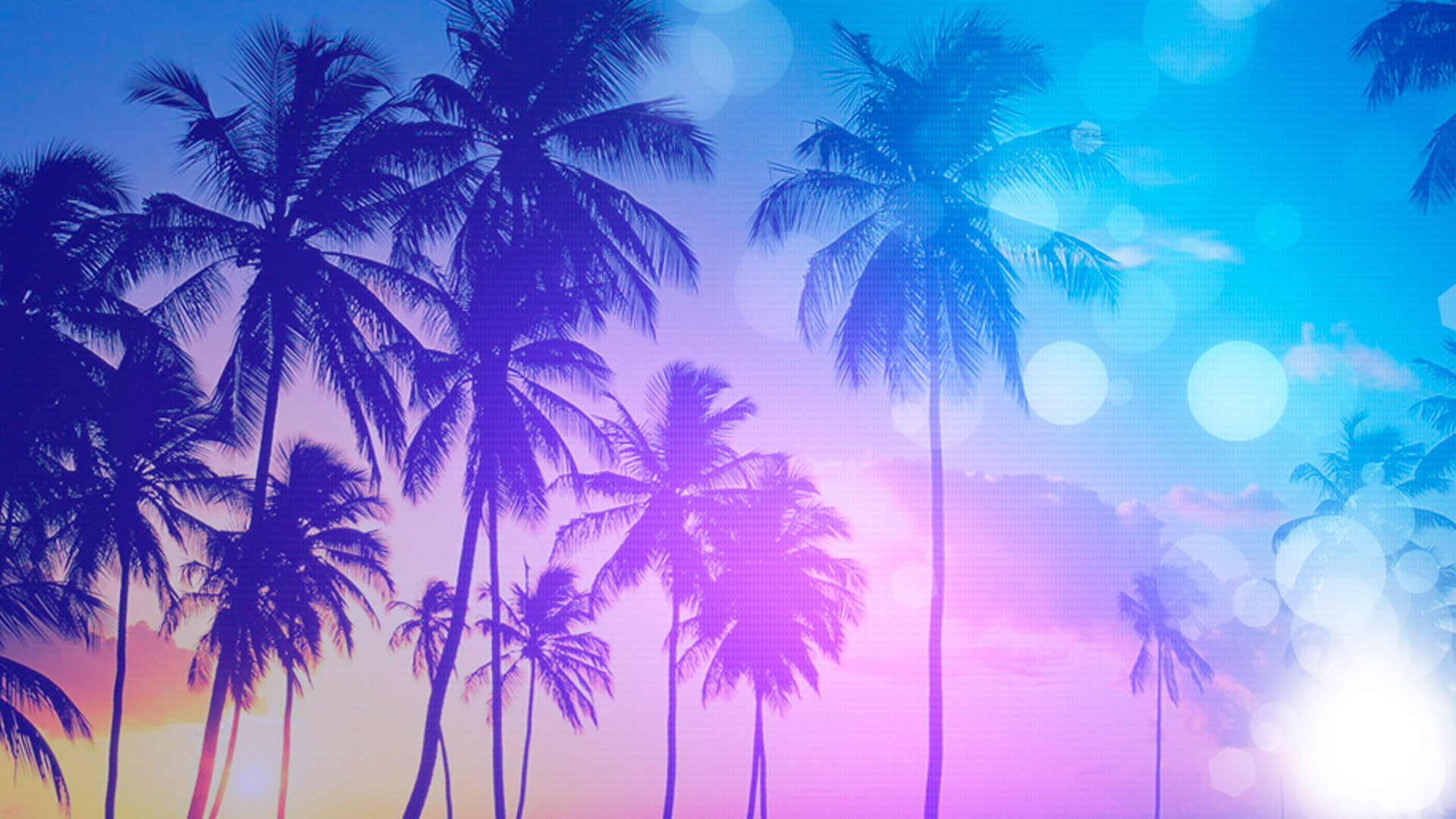 Fox News Rio Grande Valley