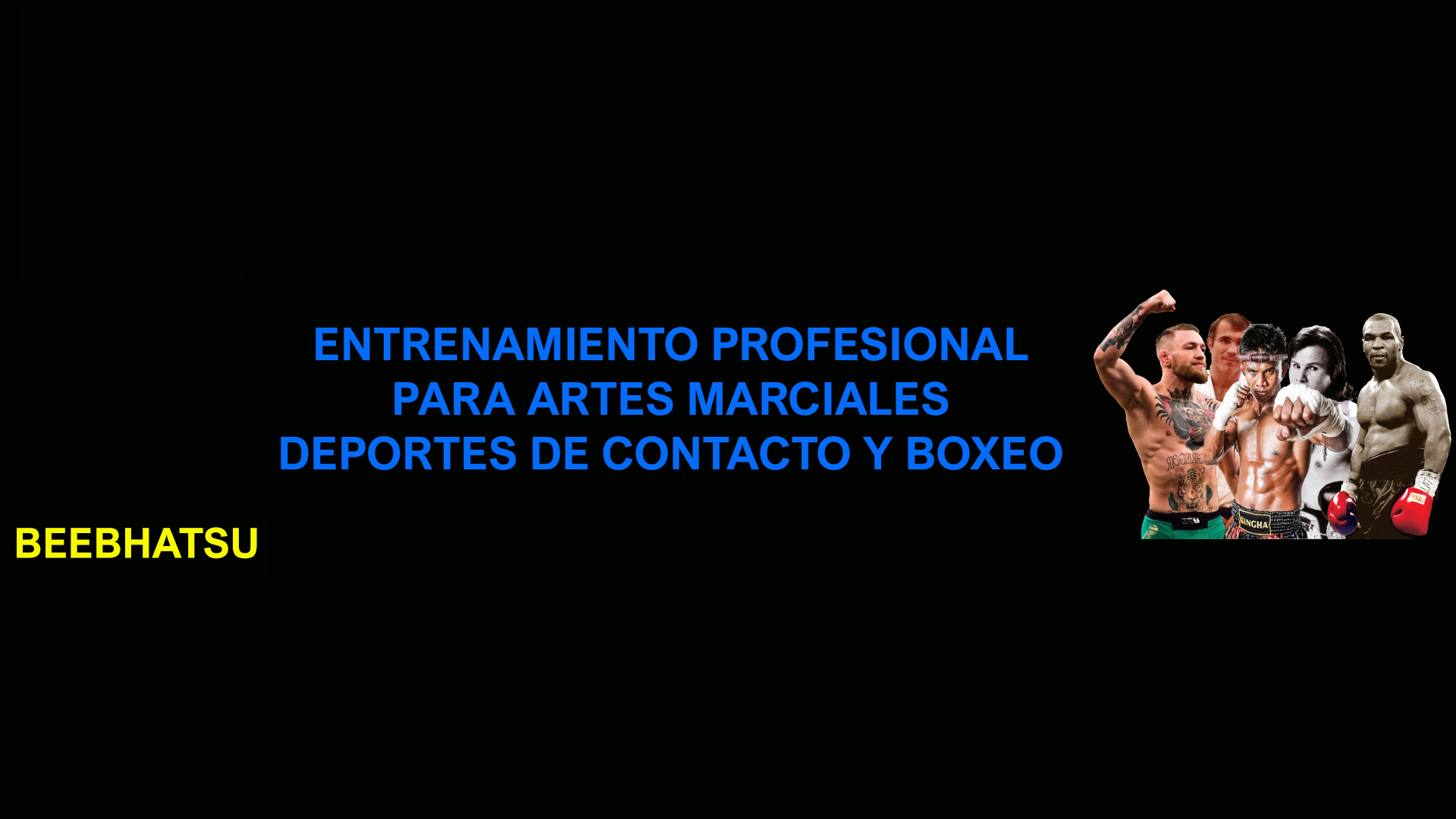 ARTES MARCIALES PROFESIONALES