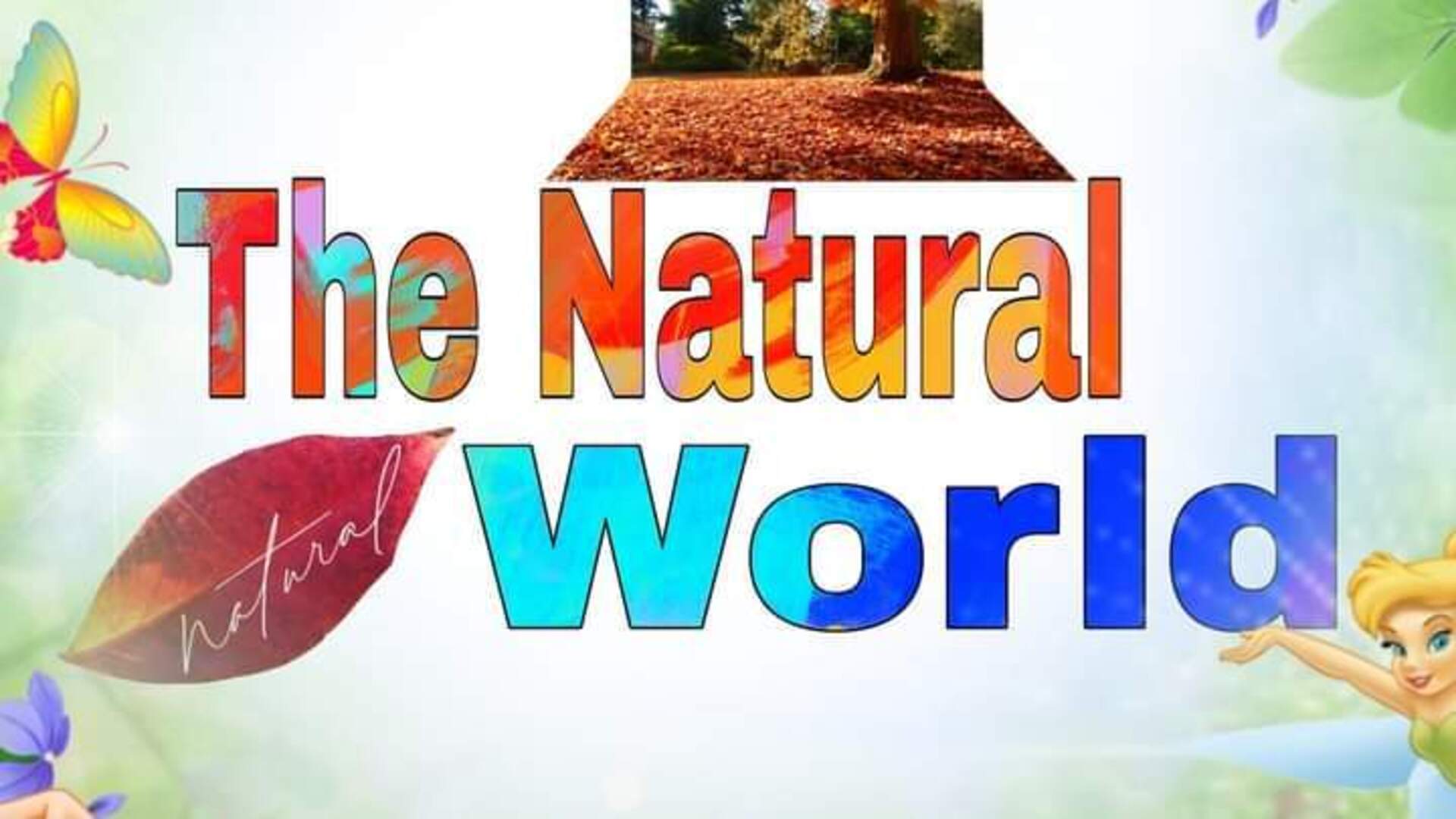 The Natural World