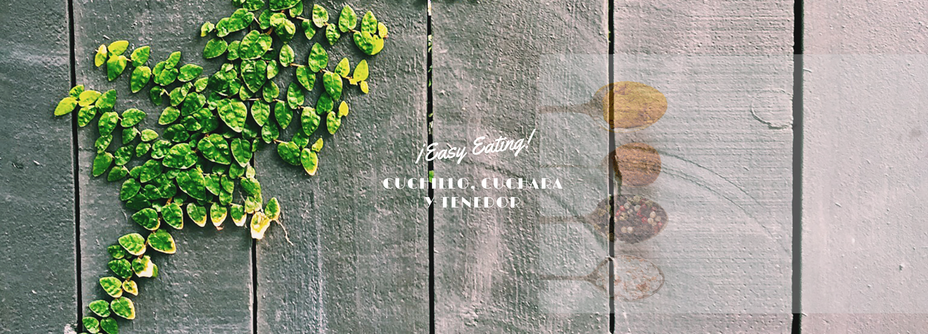 Cuchara Cuchillo y Tenedor