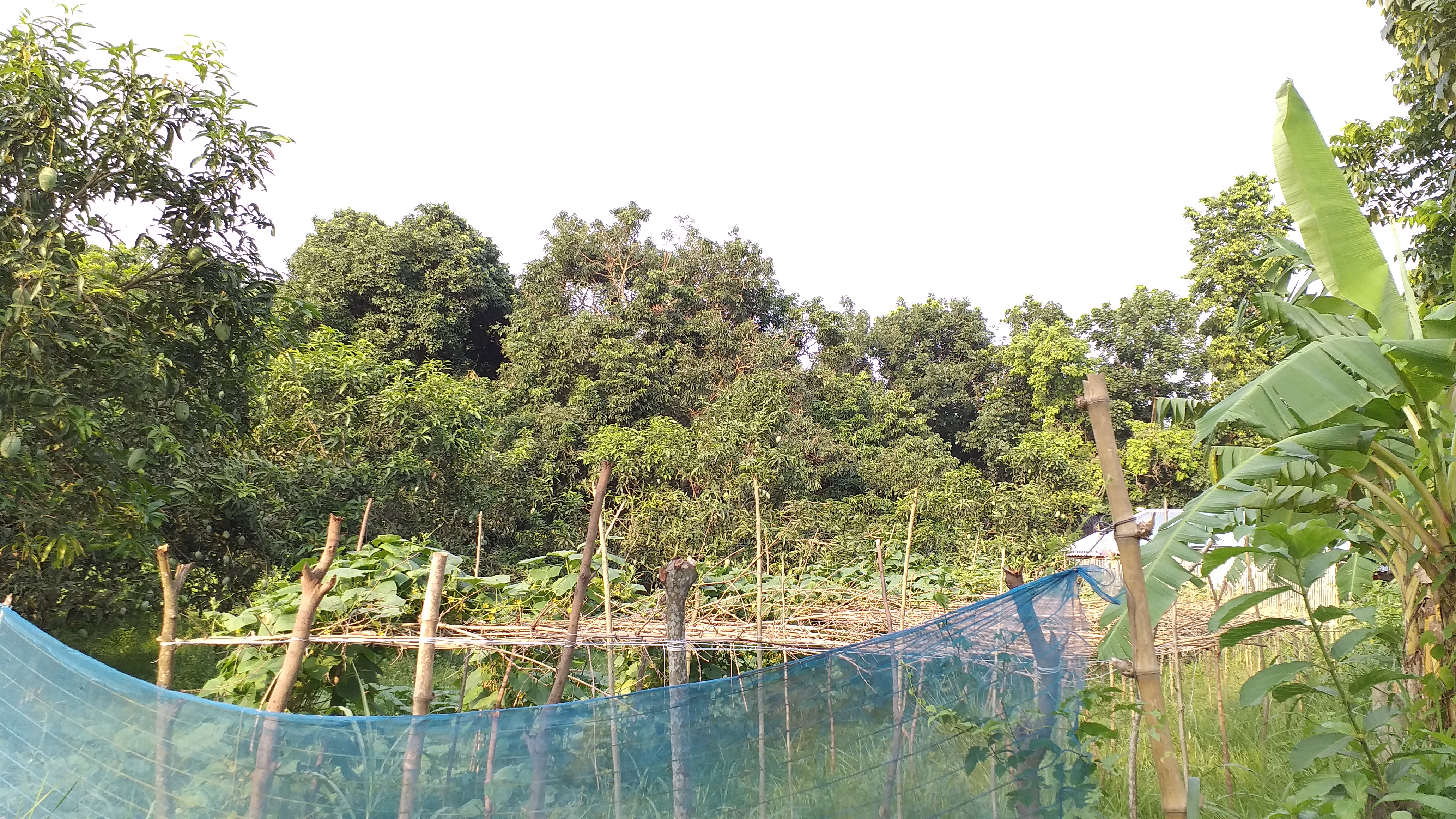 Random Video Channel