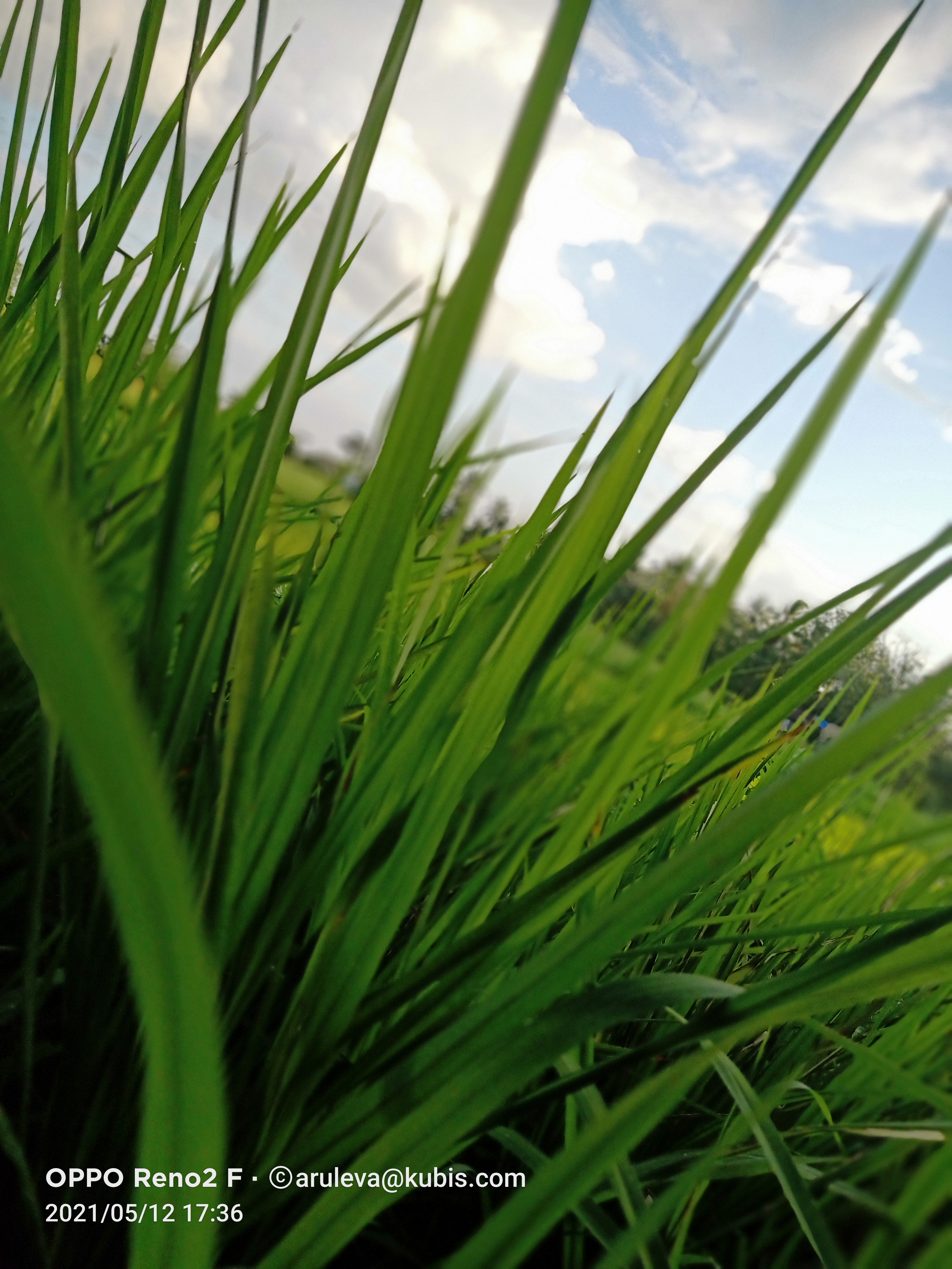 dm_4d545f2b5dd031d30859735a28adff15