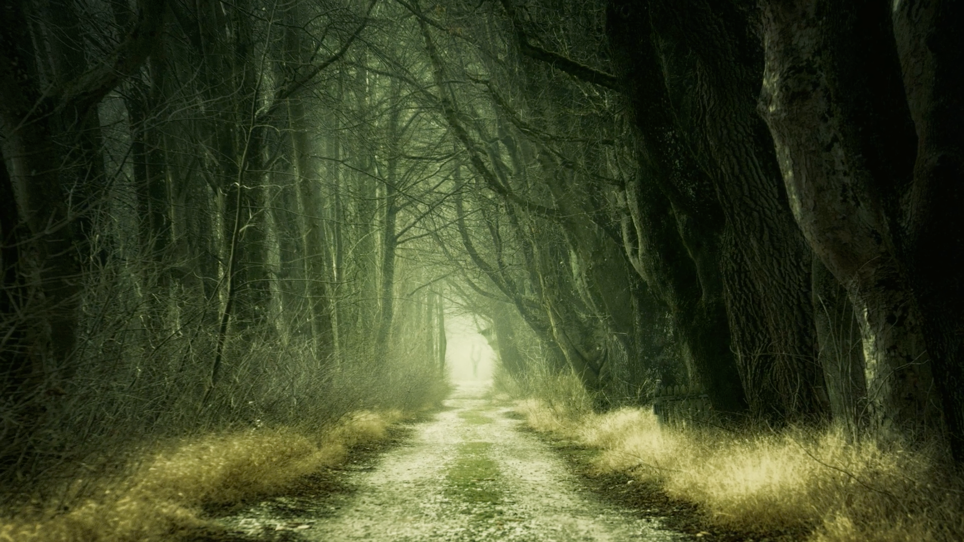 Cinema Hotel Studios