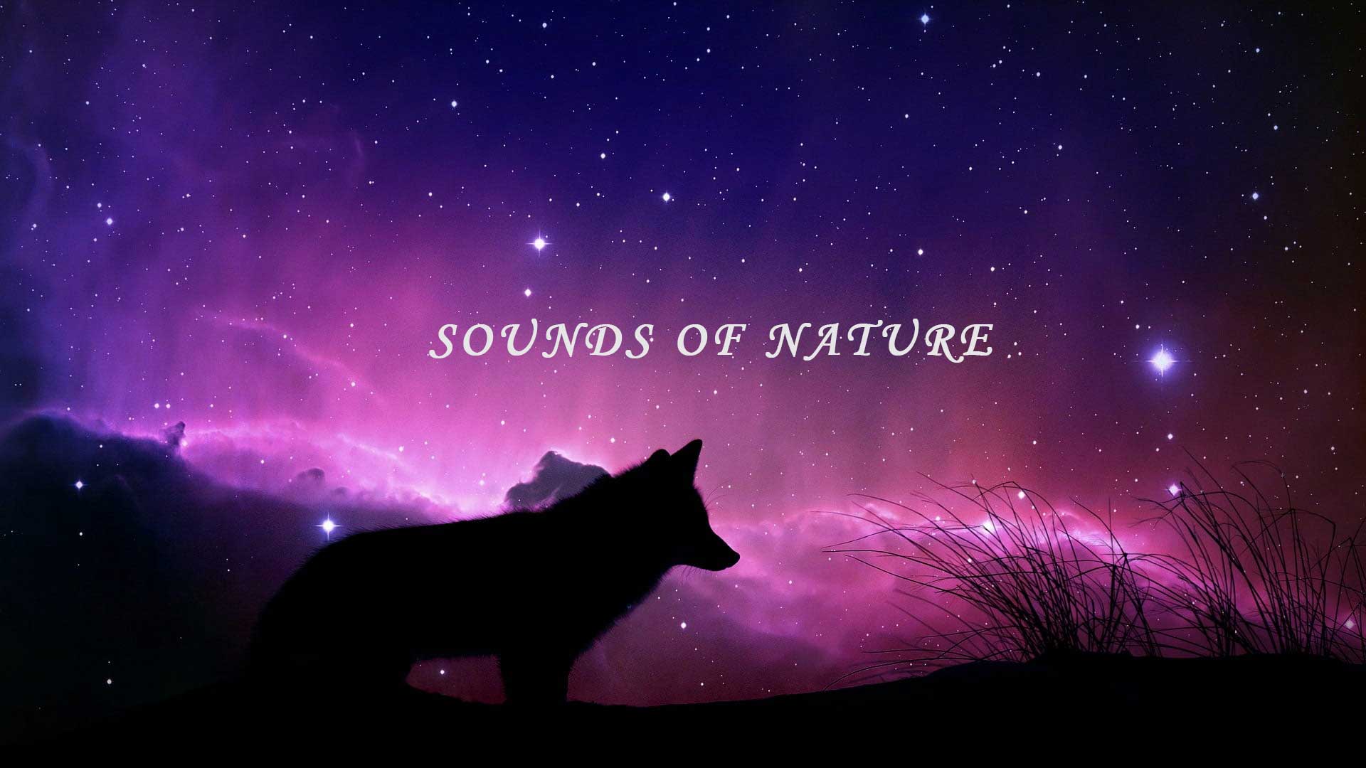 Sounds of nature