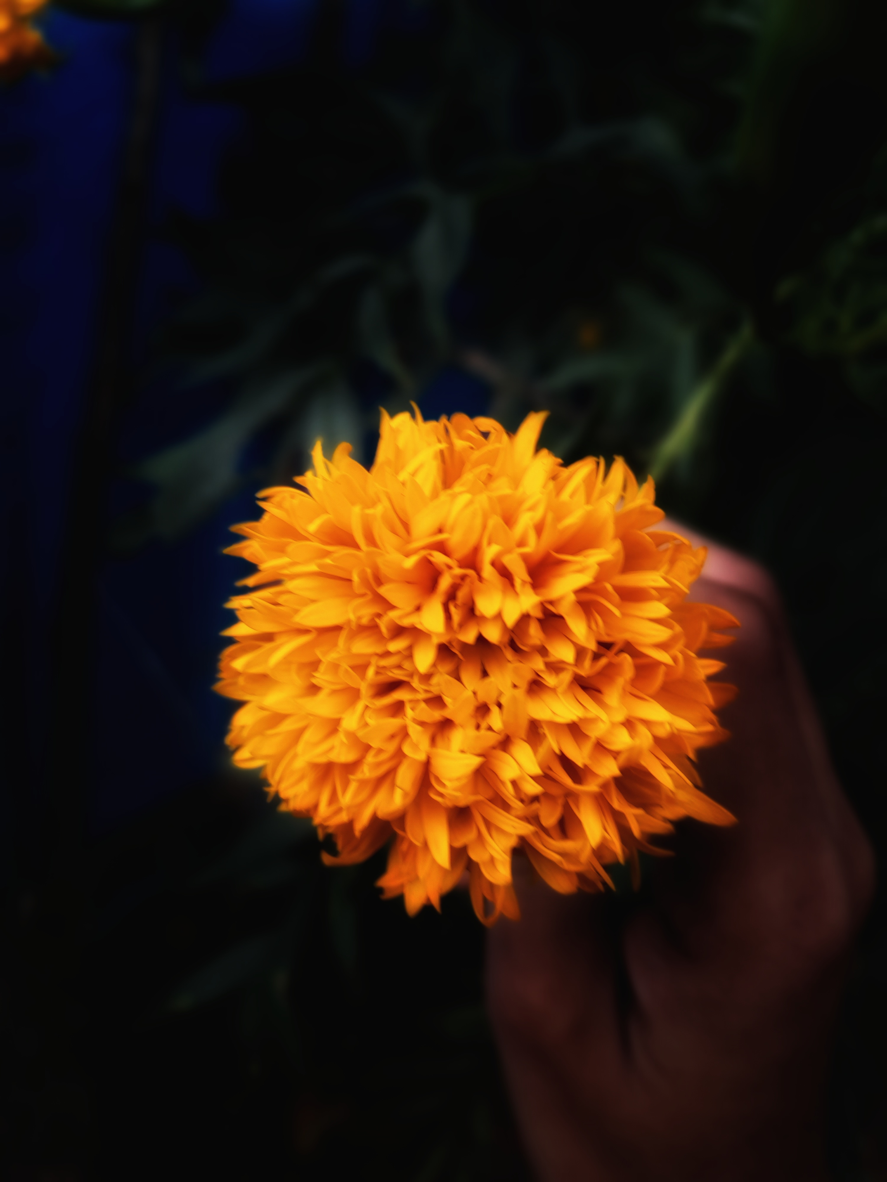 Mohammed Nihal Raheem