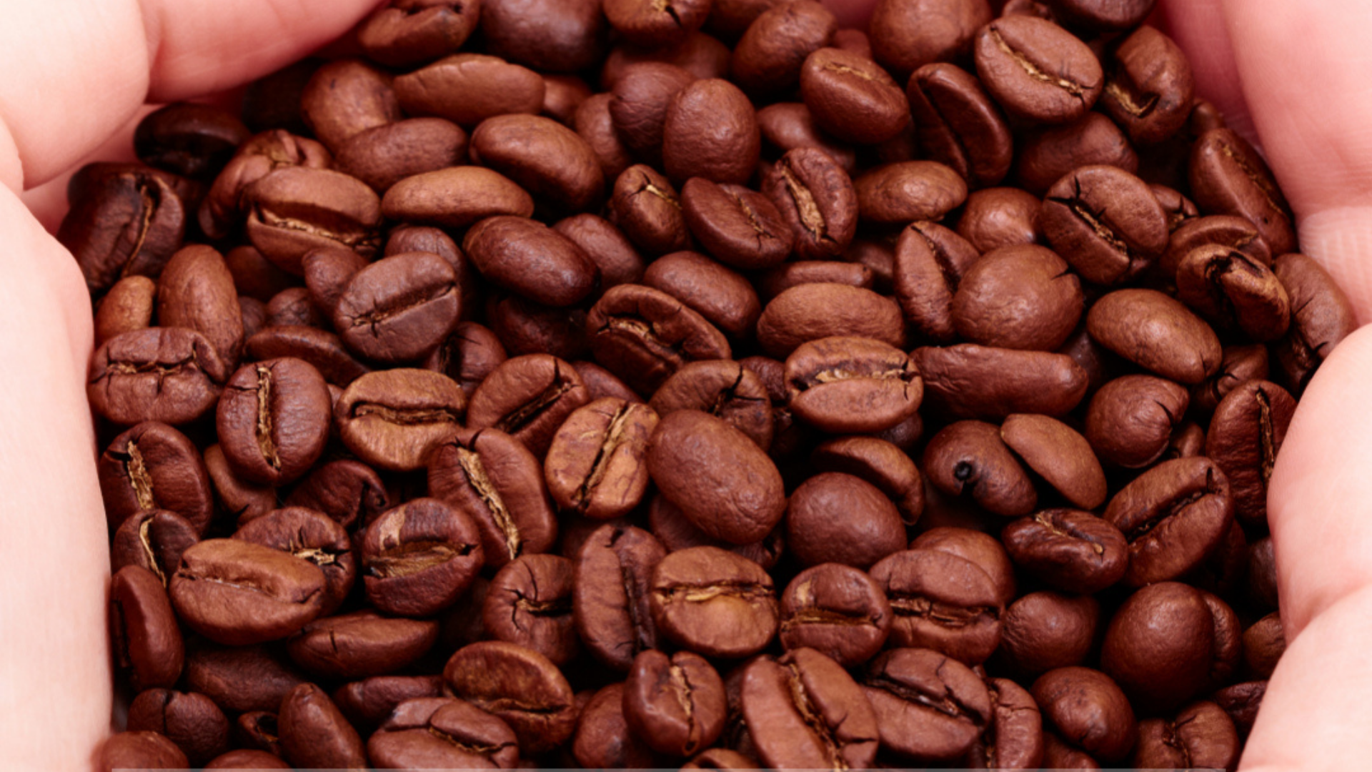 Pedlars Cafe - Roasters Club