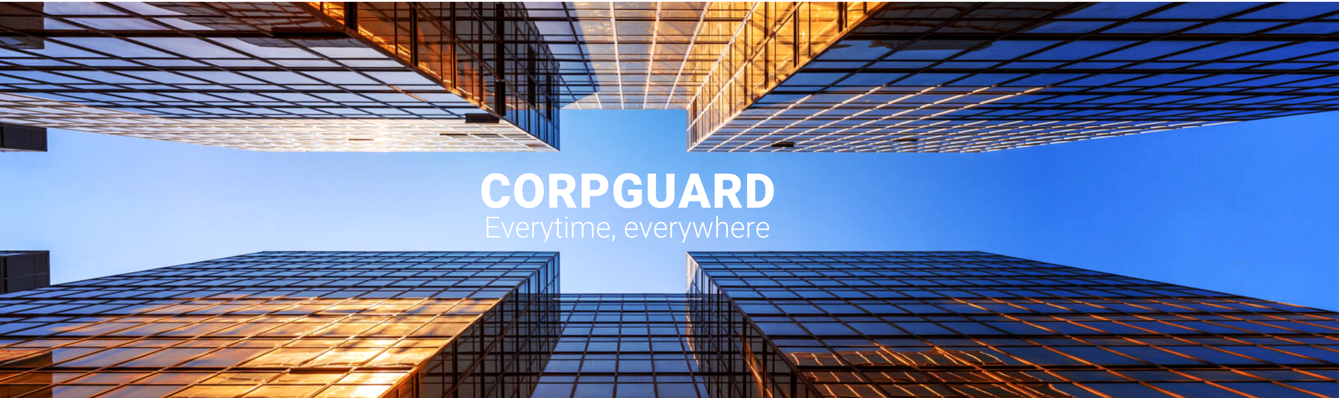 David HORNUS Intellligence & sécurité économique