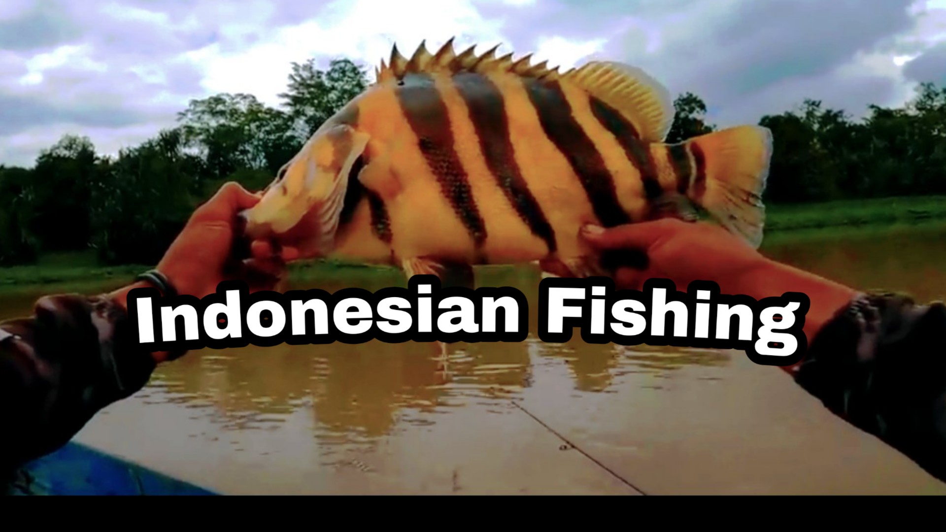 Indonesian Fishing