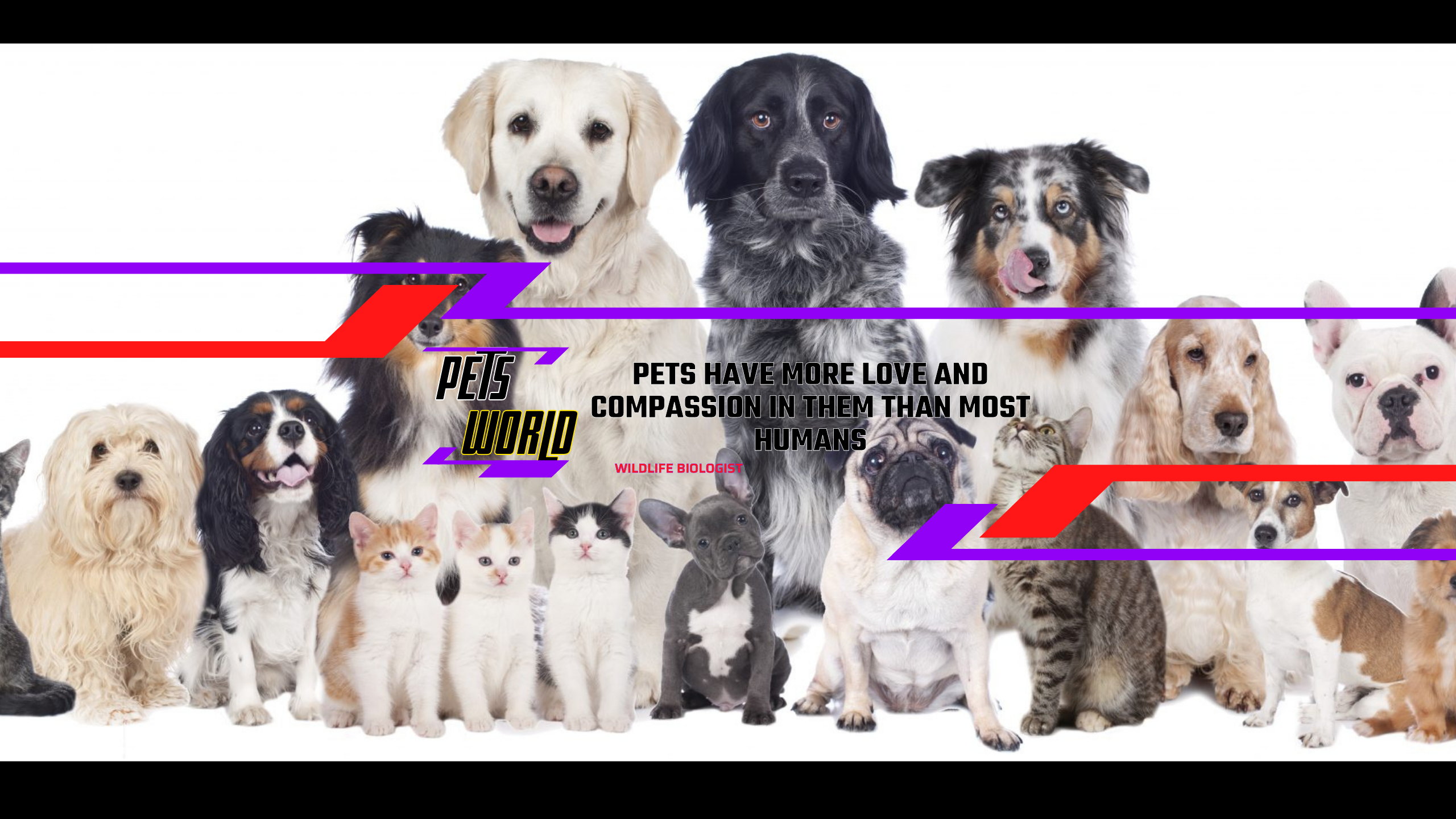 Pets World Beyond Borders