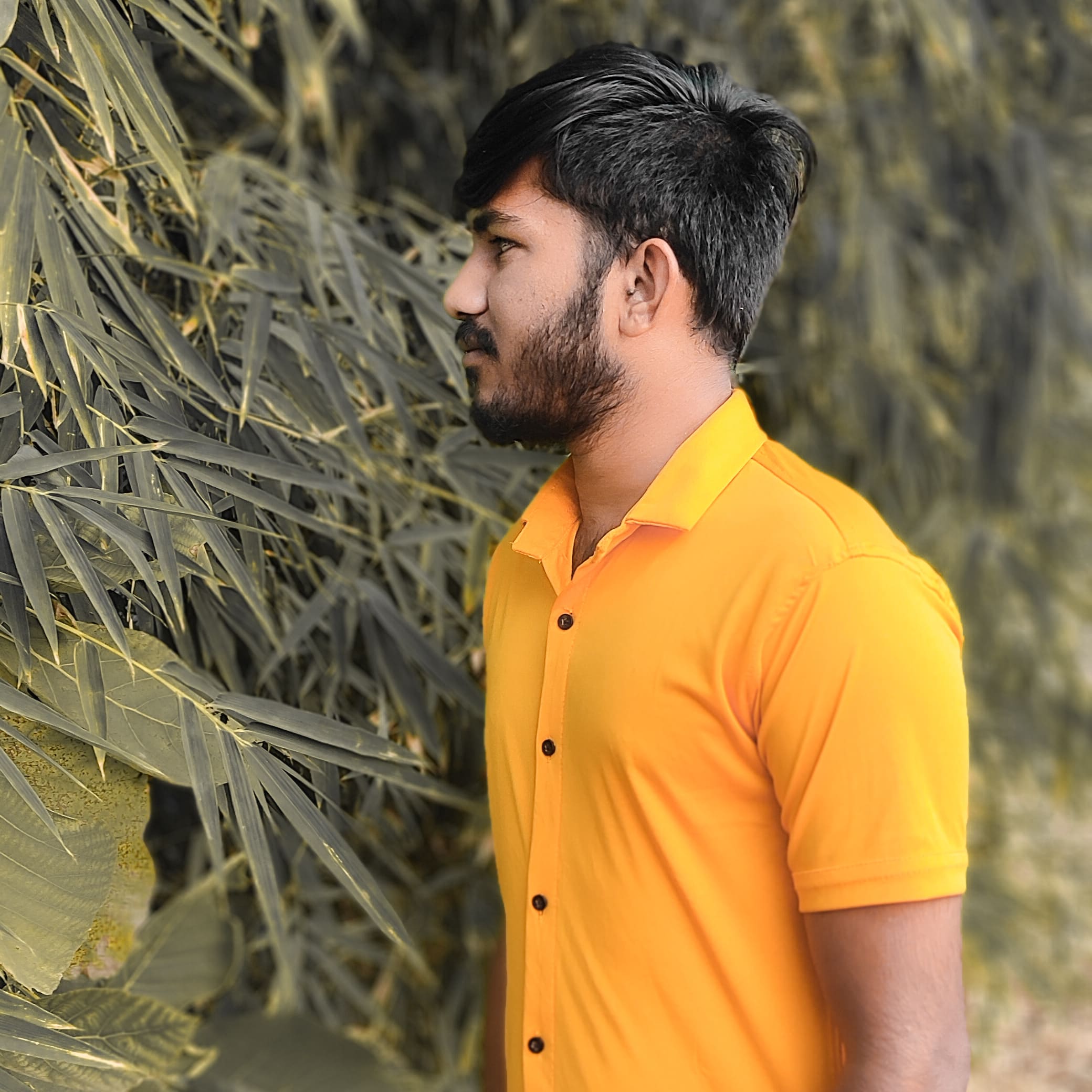 dm_fd5a3425d6ee4b31abc158fe48659c19