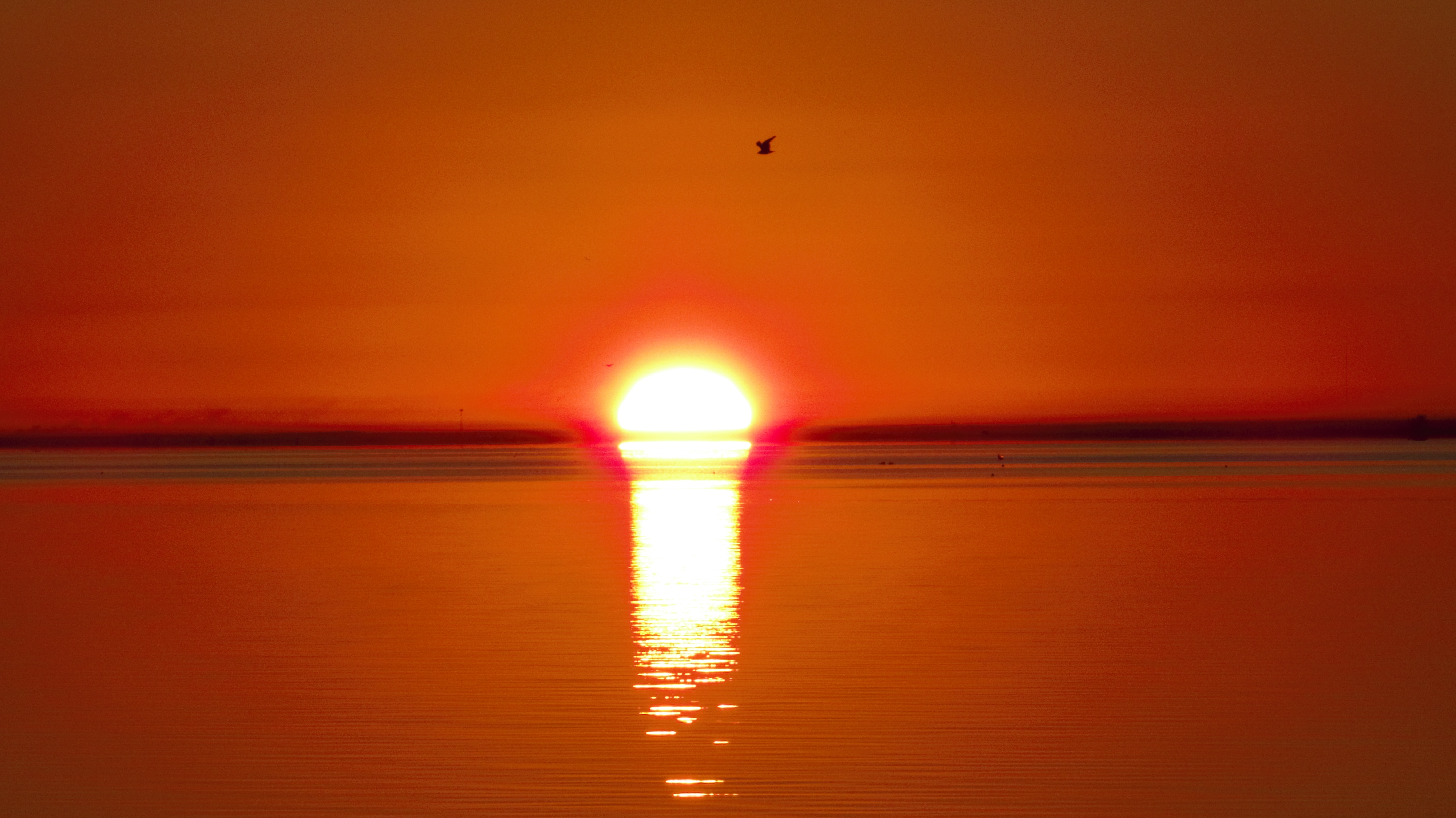 Ms Kaye's OnLine Lessons