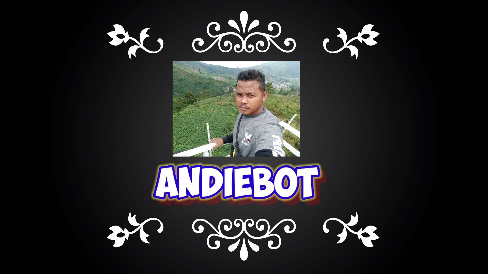Andiebot