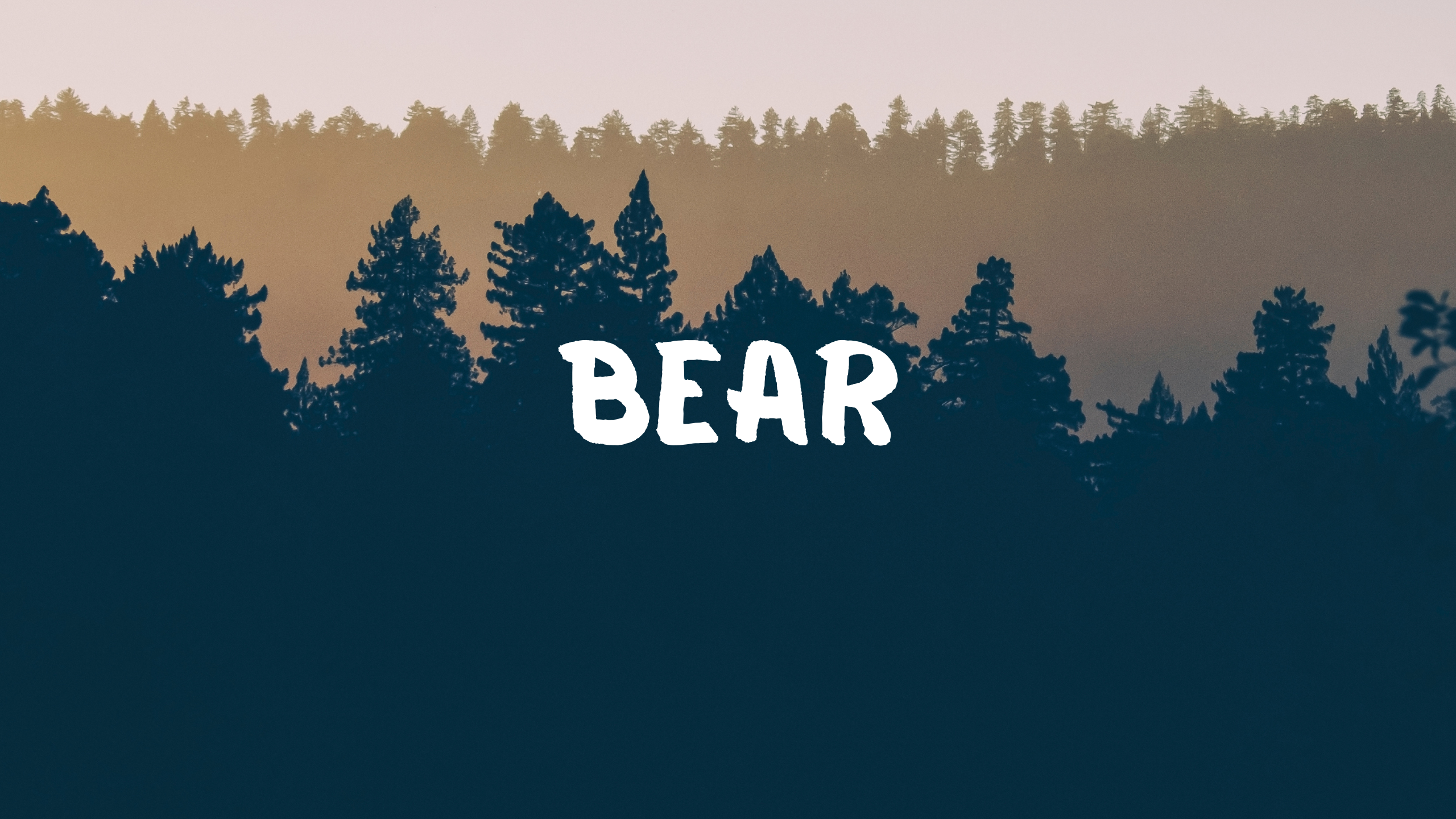 Bear