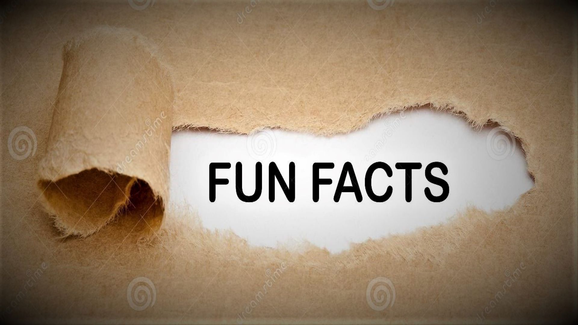 Meerub Amazing Videos