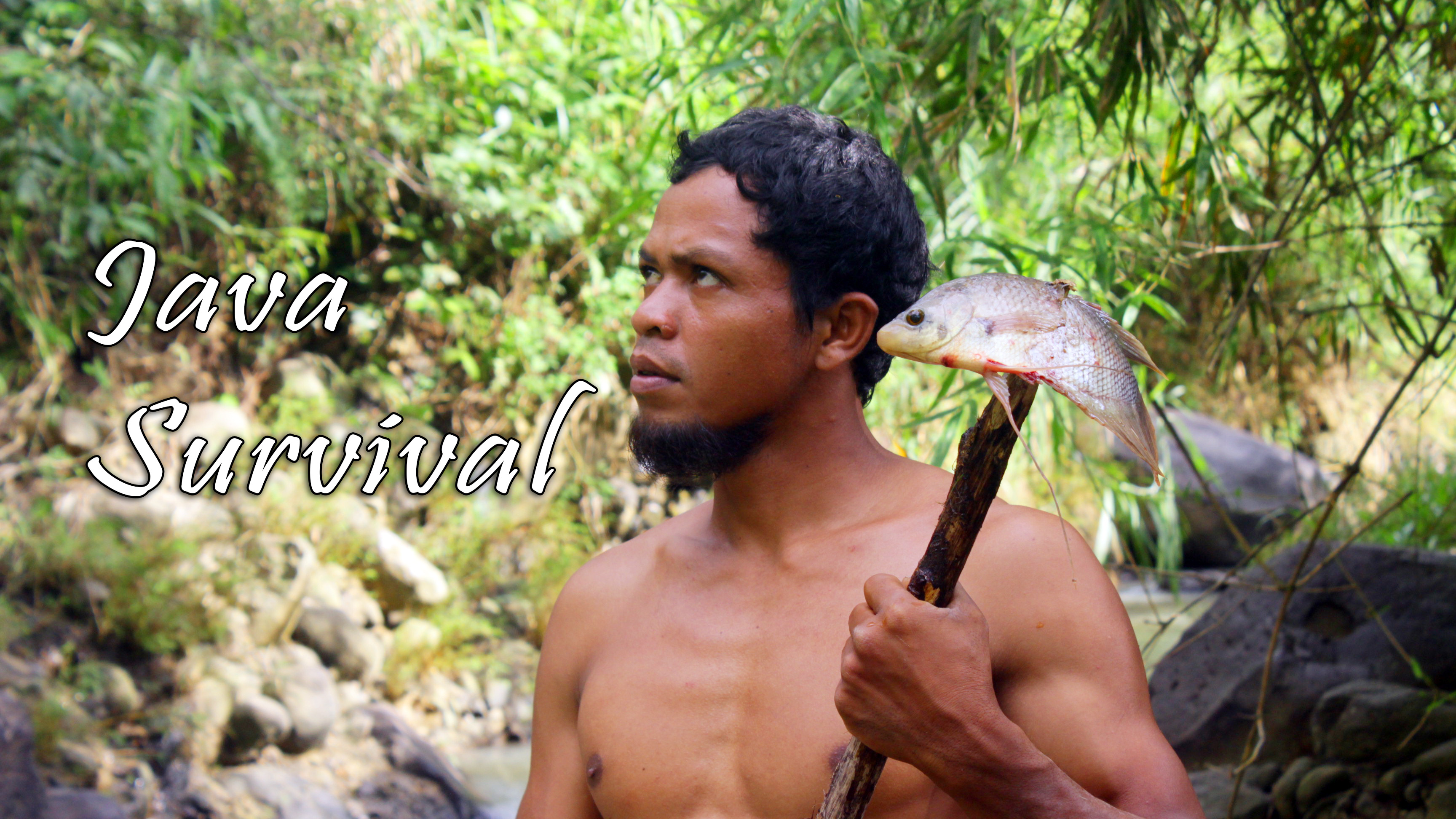Java Survival