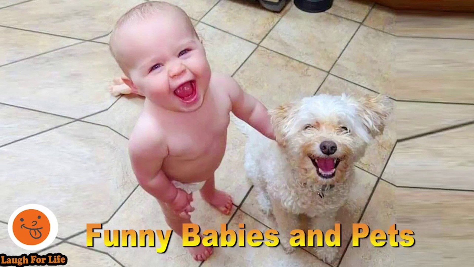 Funny Babies and Pets