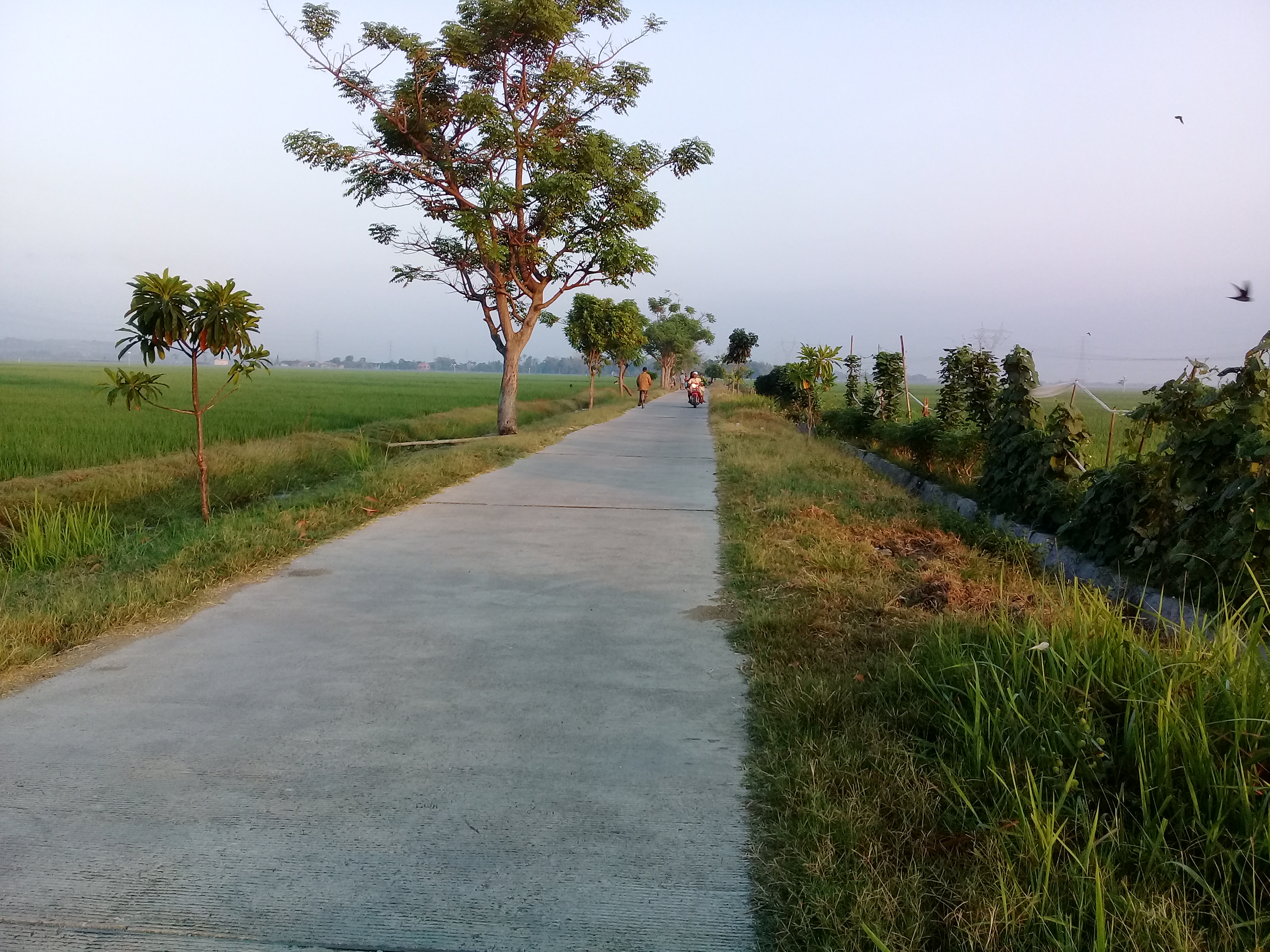 sukarno karno channel