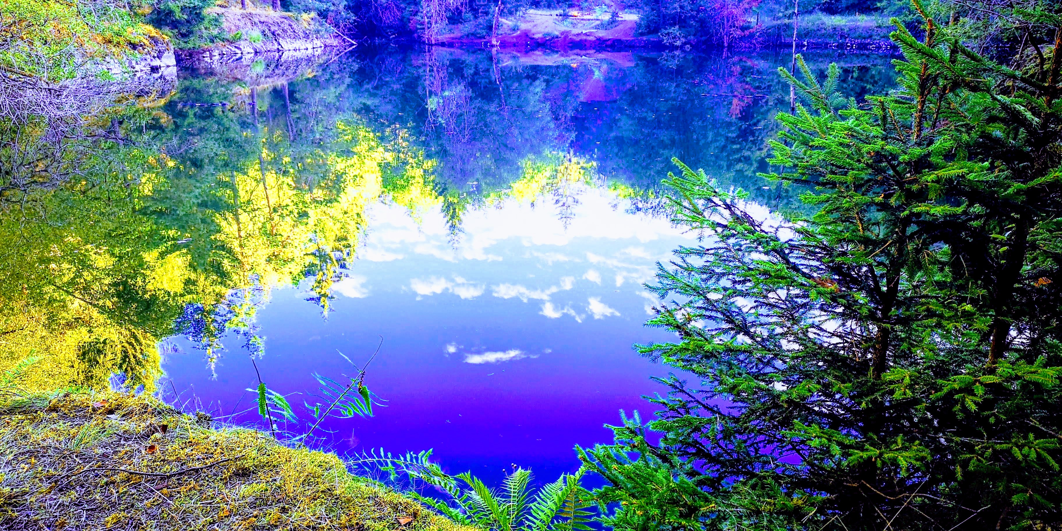 Relaxing nature music