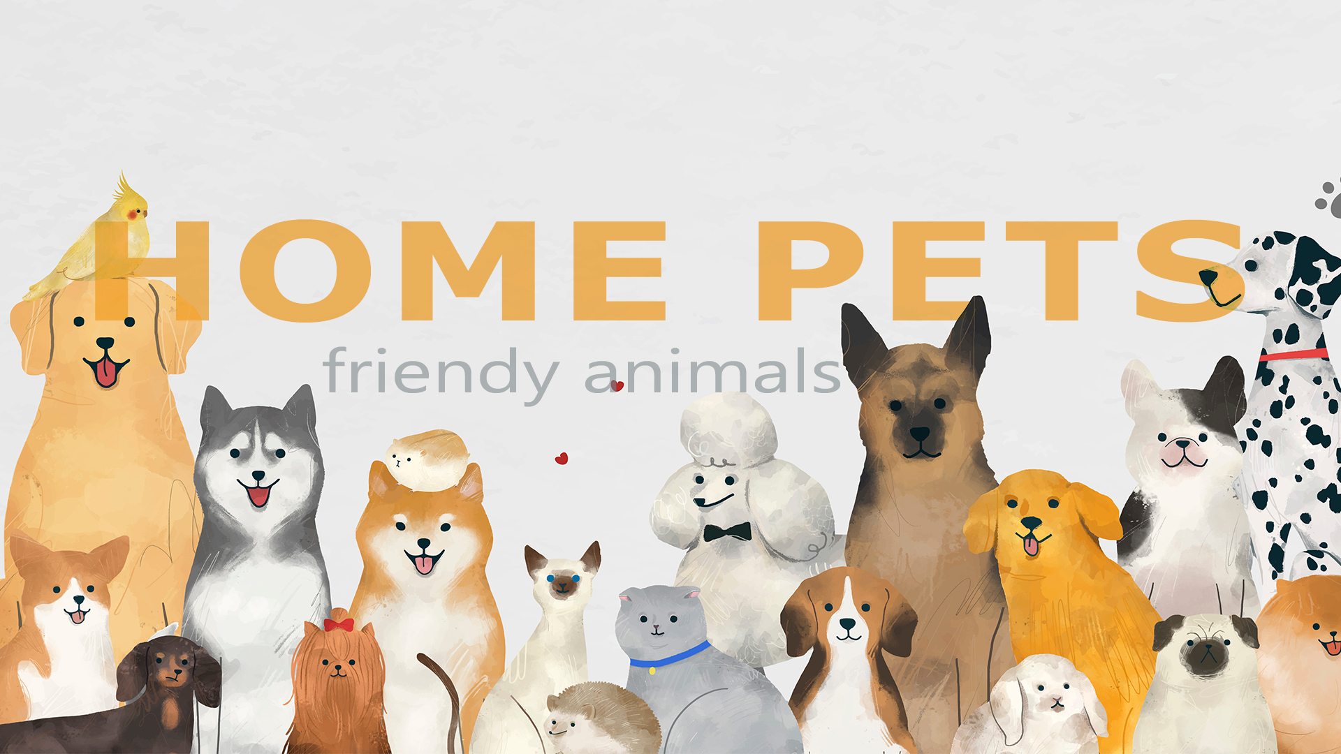 Home pets