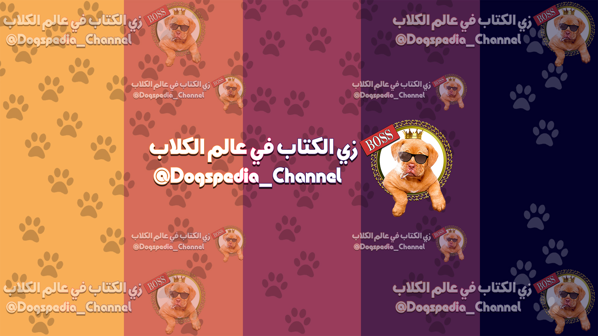 زي الكتاب في عالم الكلاب