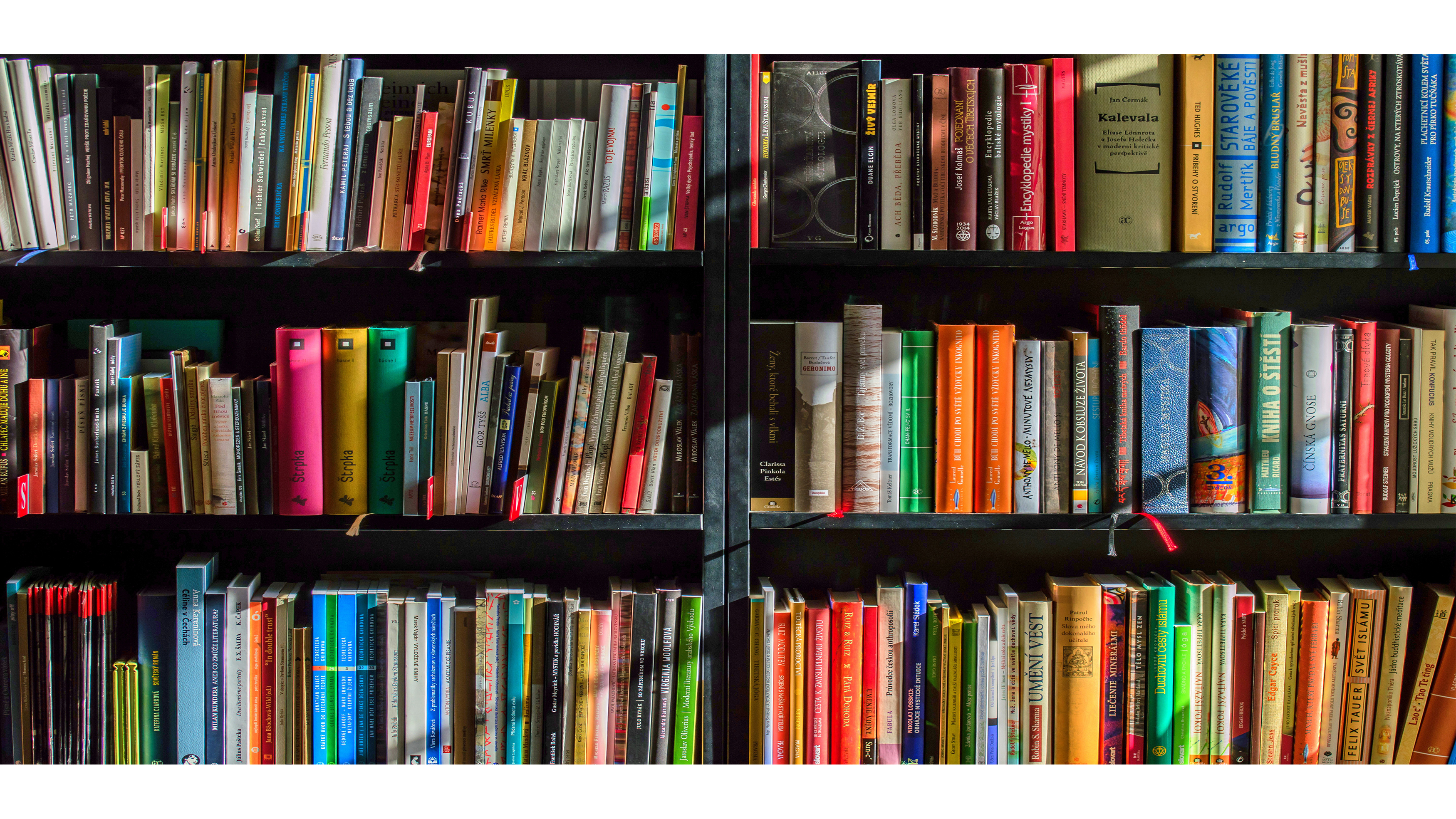 Addition _ اضافة