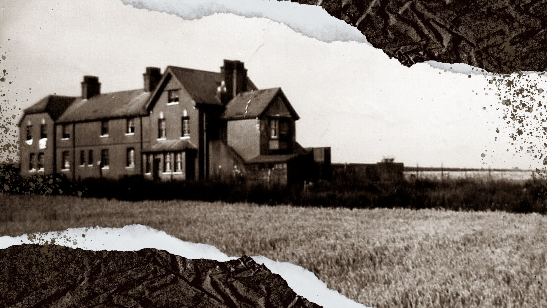 Tube Unique Wilderness