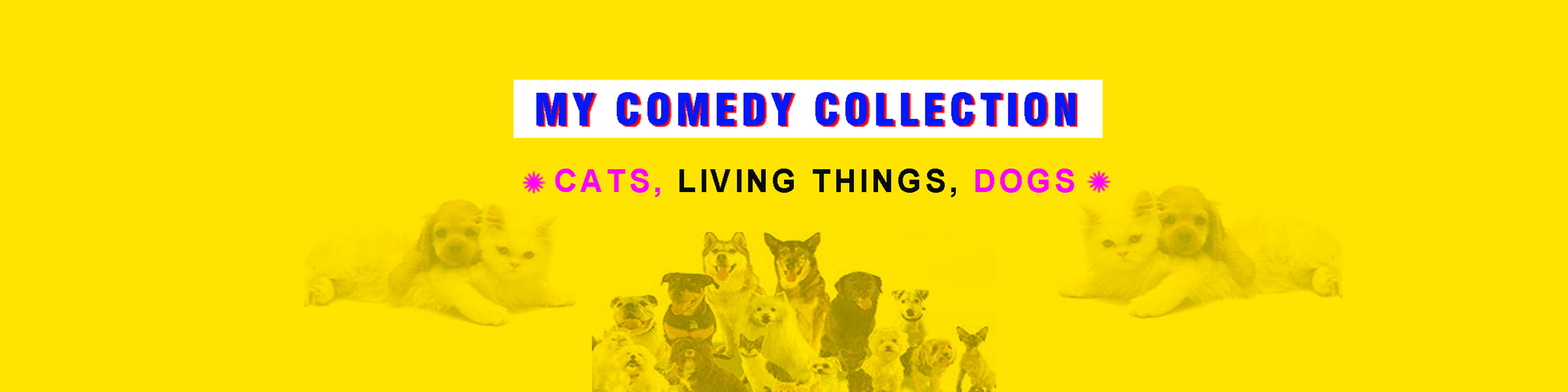 Dailymotion banner for @laxmi