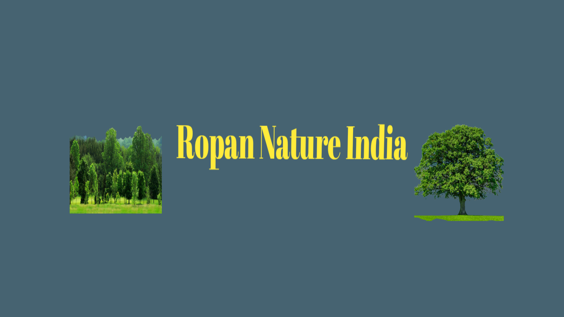 Ropan Nature India