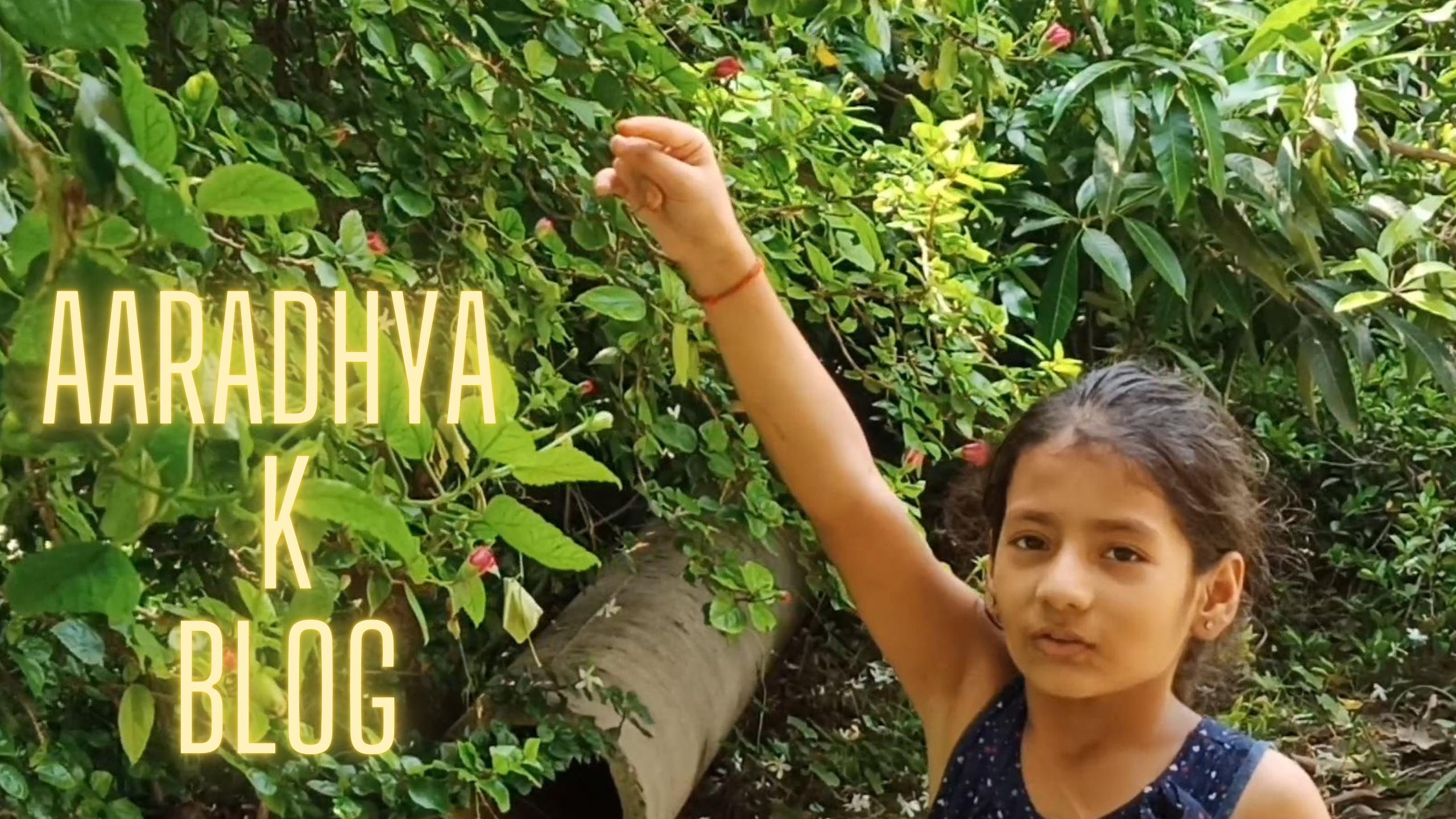 Aaradhya k vlog