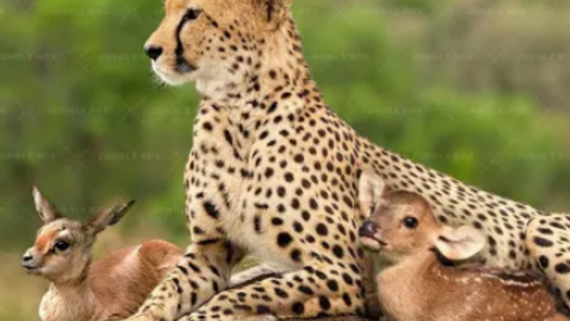 Nature Actions Continue