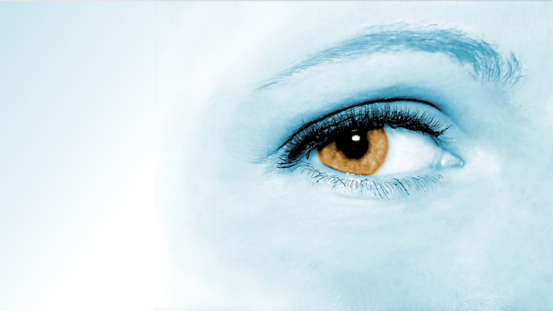 Dailymotion banner for @everything