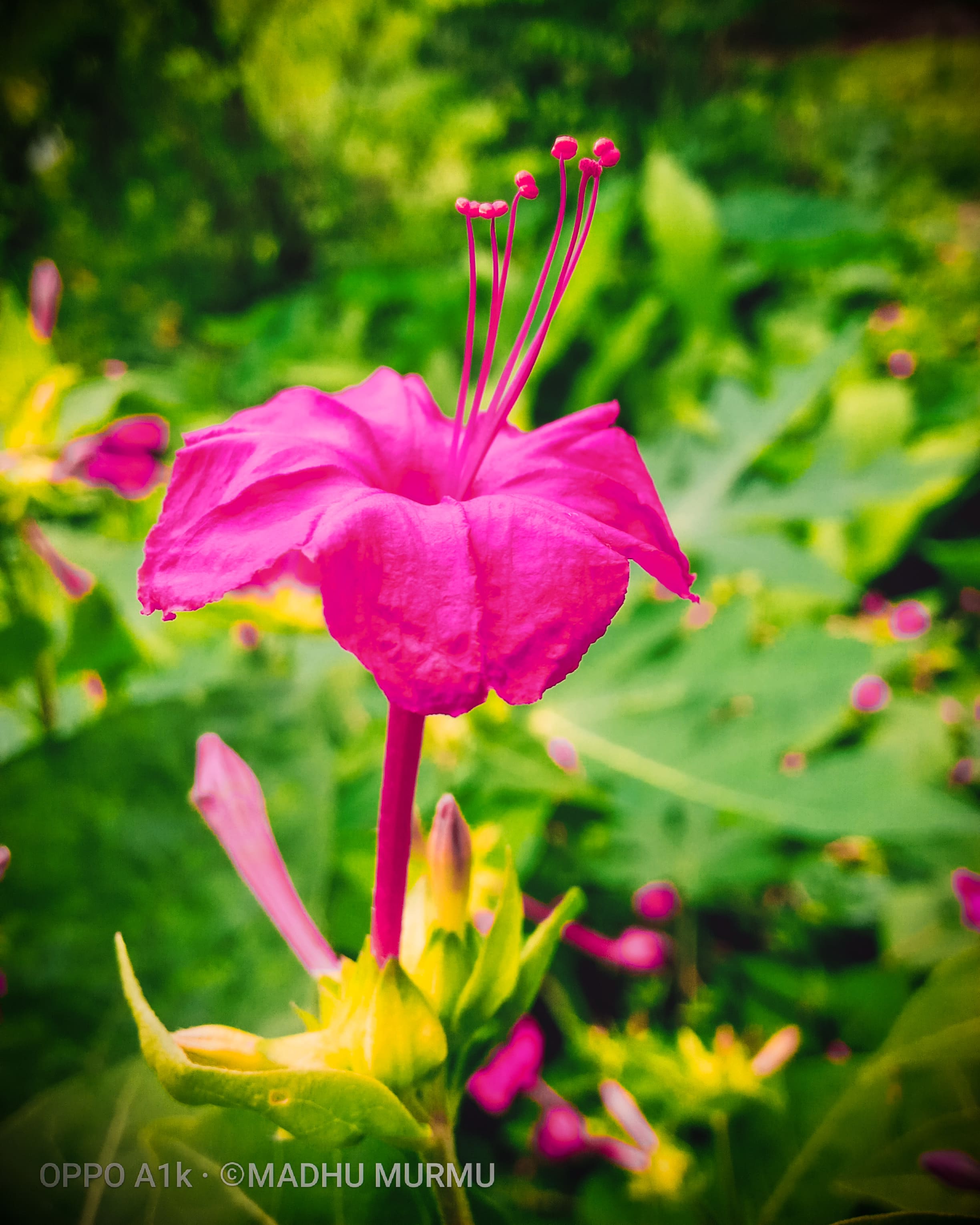 Madhu Murmu sporting