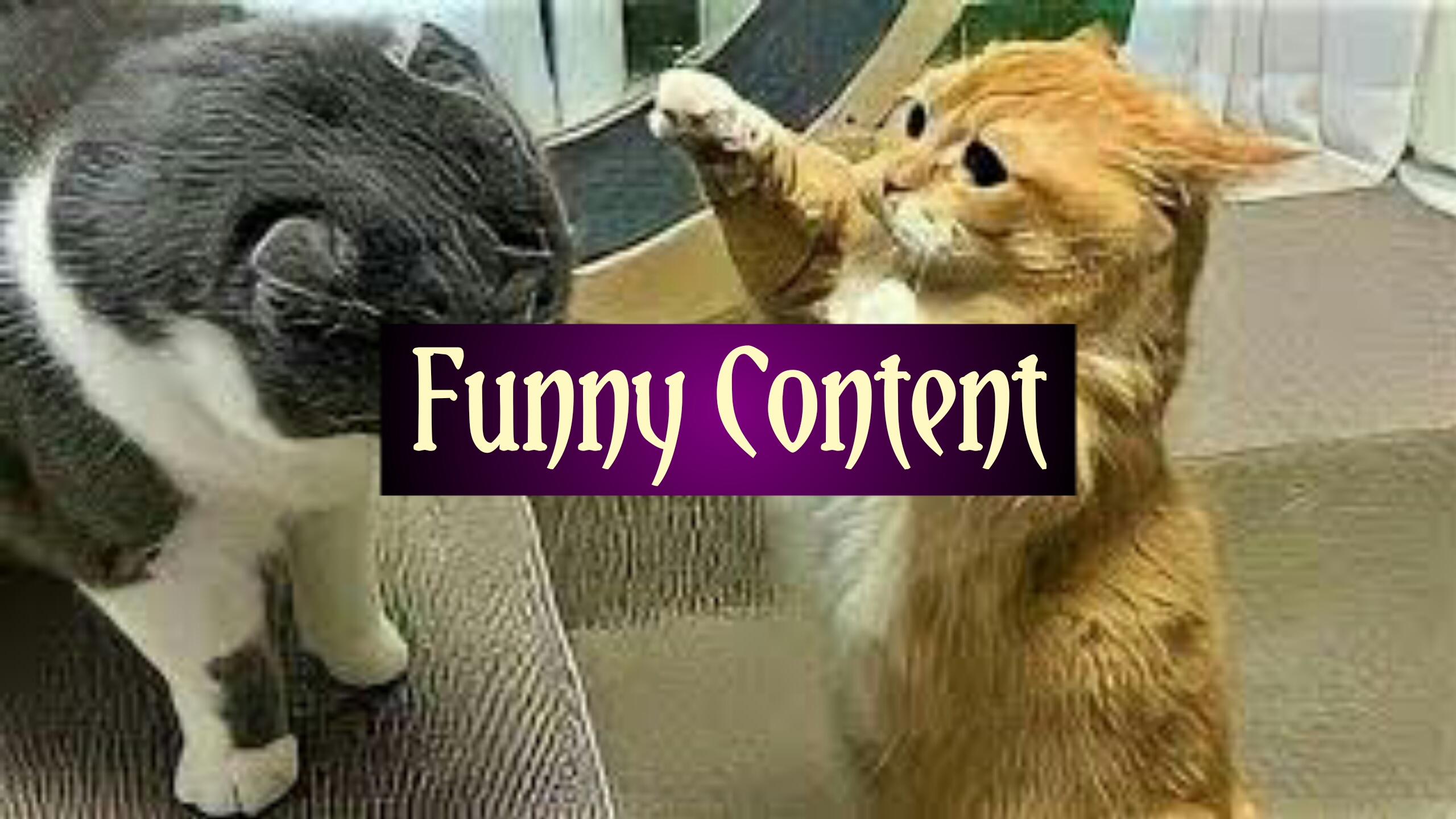 Funny Content