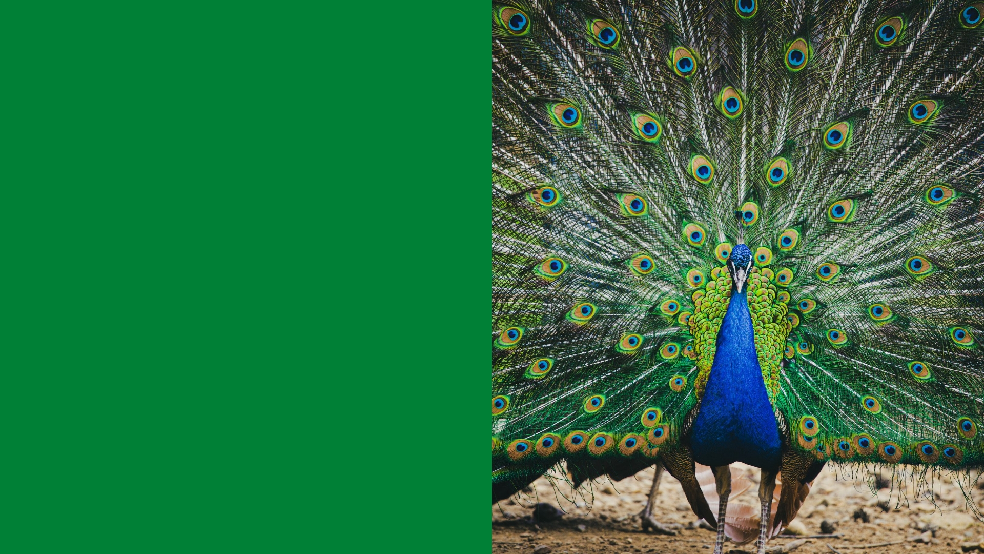 सरल समाधान