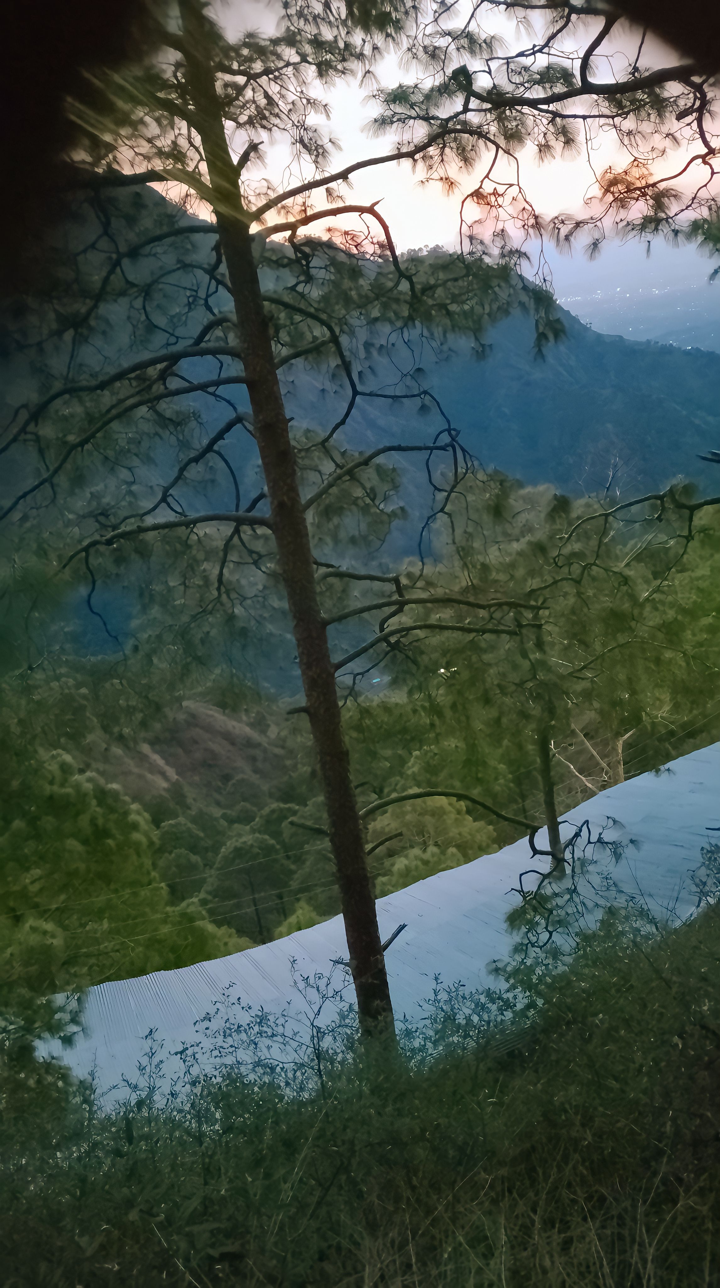 Dailymotion banner for @Sarita