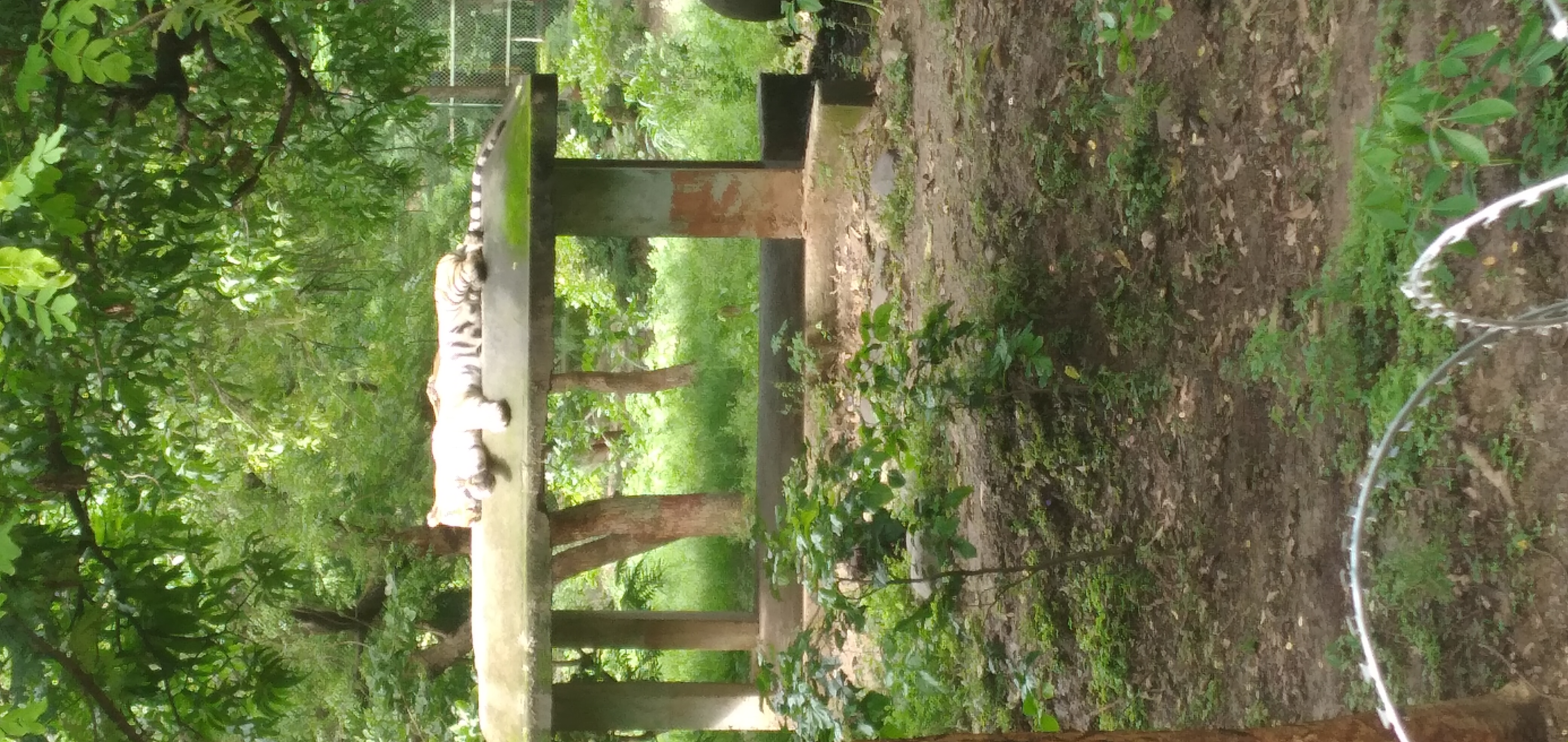 Education and Technology with Ronit